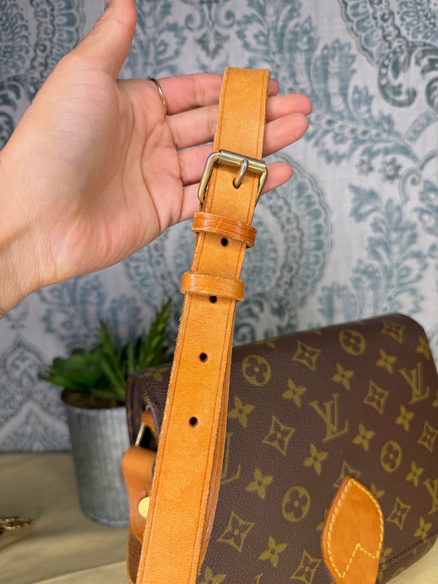 Louis Vuitton Cartouchiere MM #1
