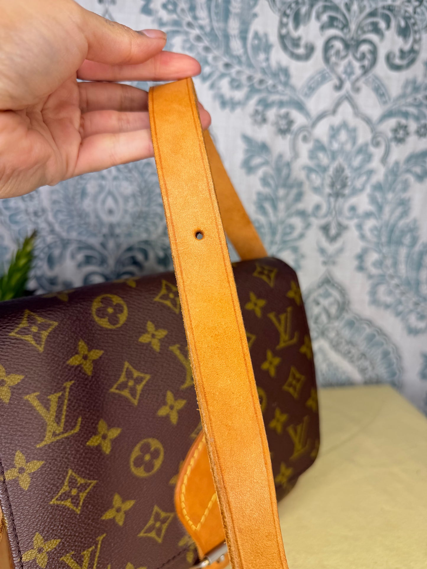Louis Vuitton Cartouchiere MM #1