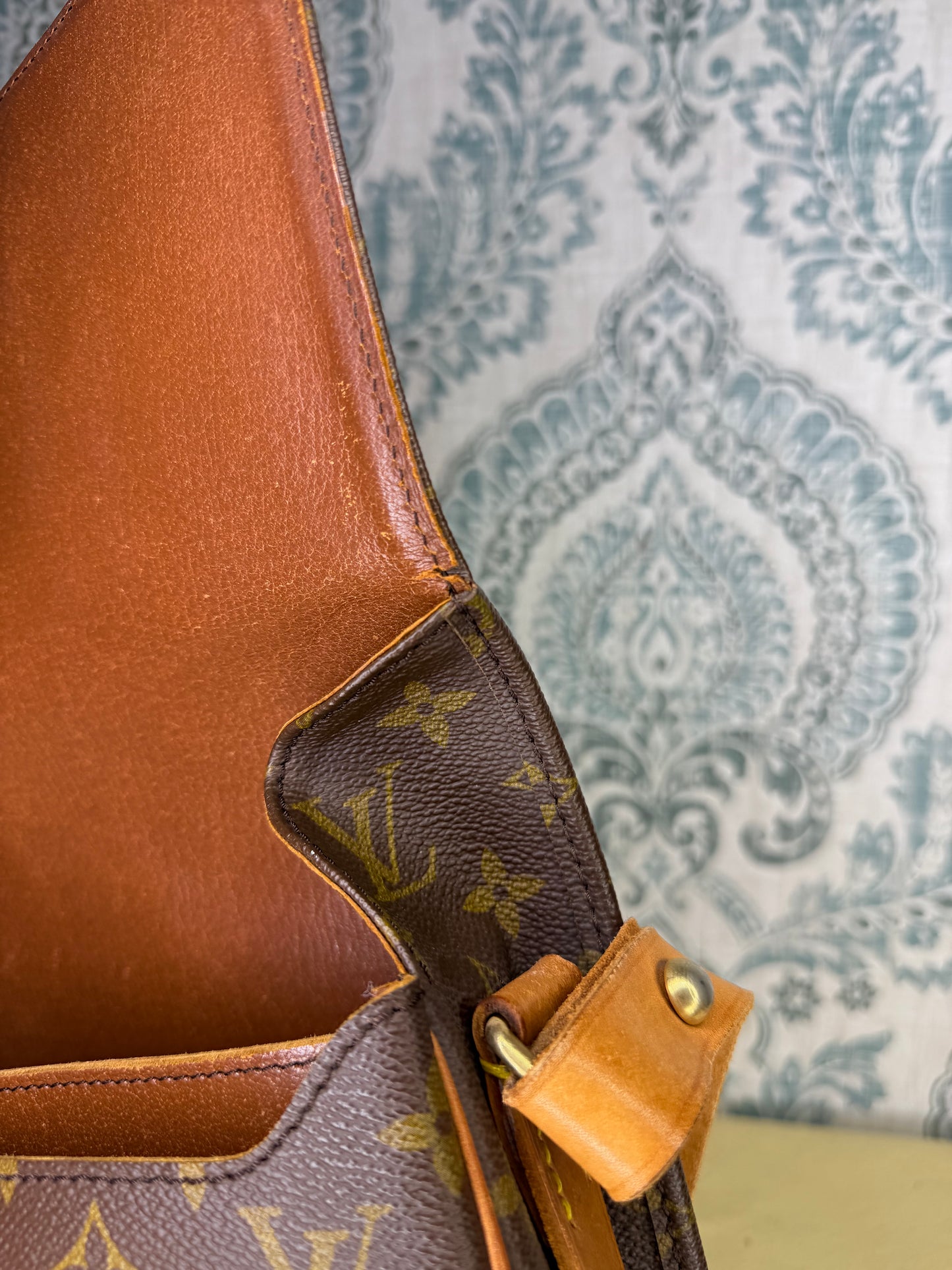 Louis Vuitton Cartouchiere MM #1