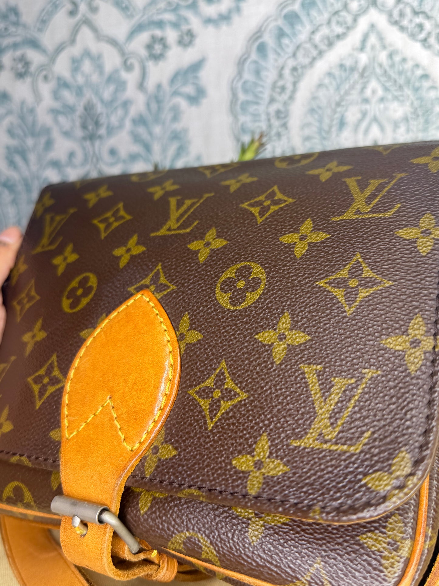 Louis Vuitton Cartouchiere MM #2