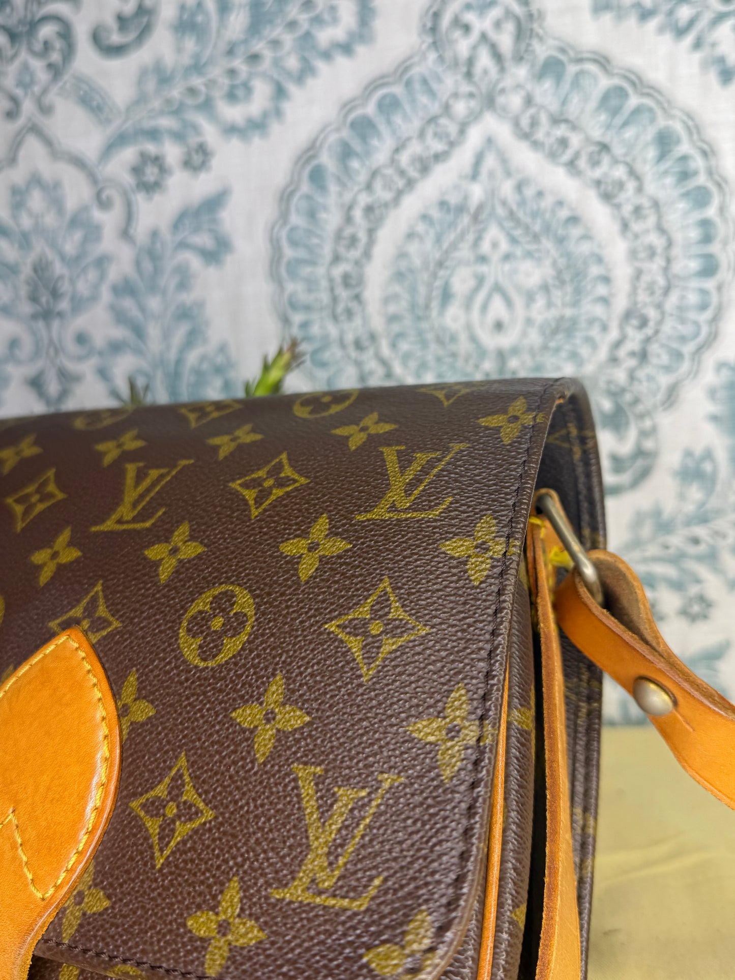 Louis Vuitton Cartouchiere MM #2