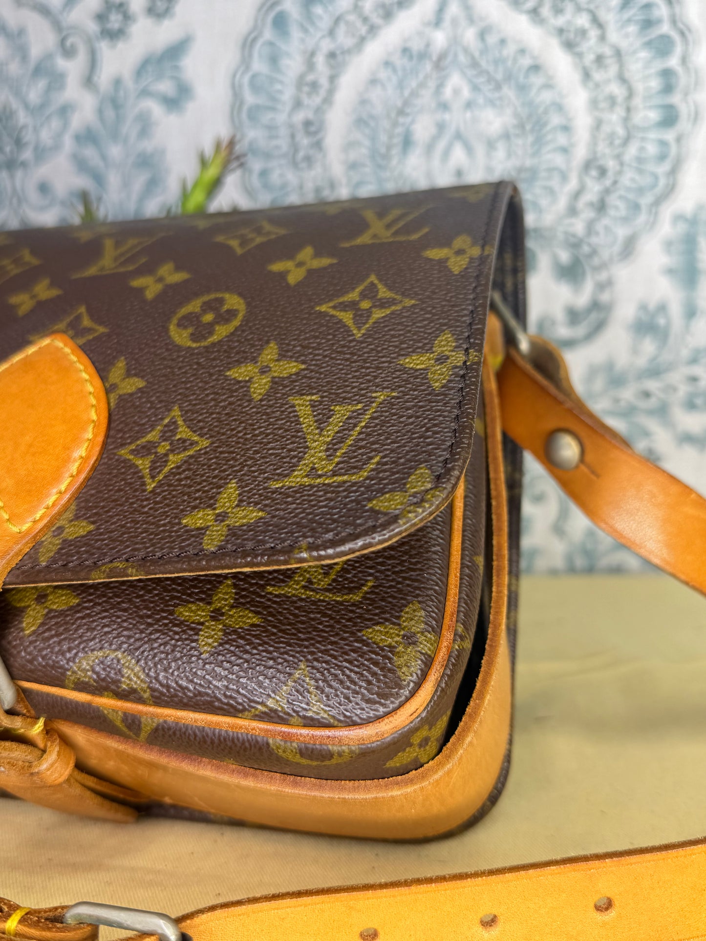 Louis Vuitton Cartouchiere MM #2