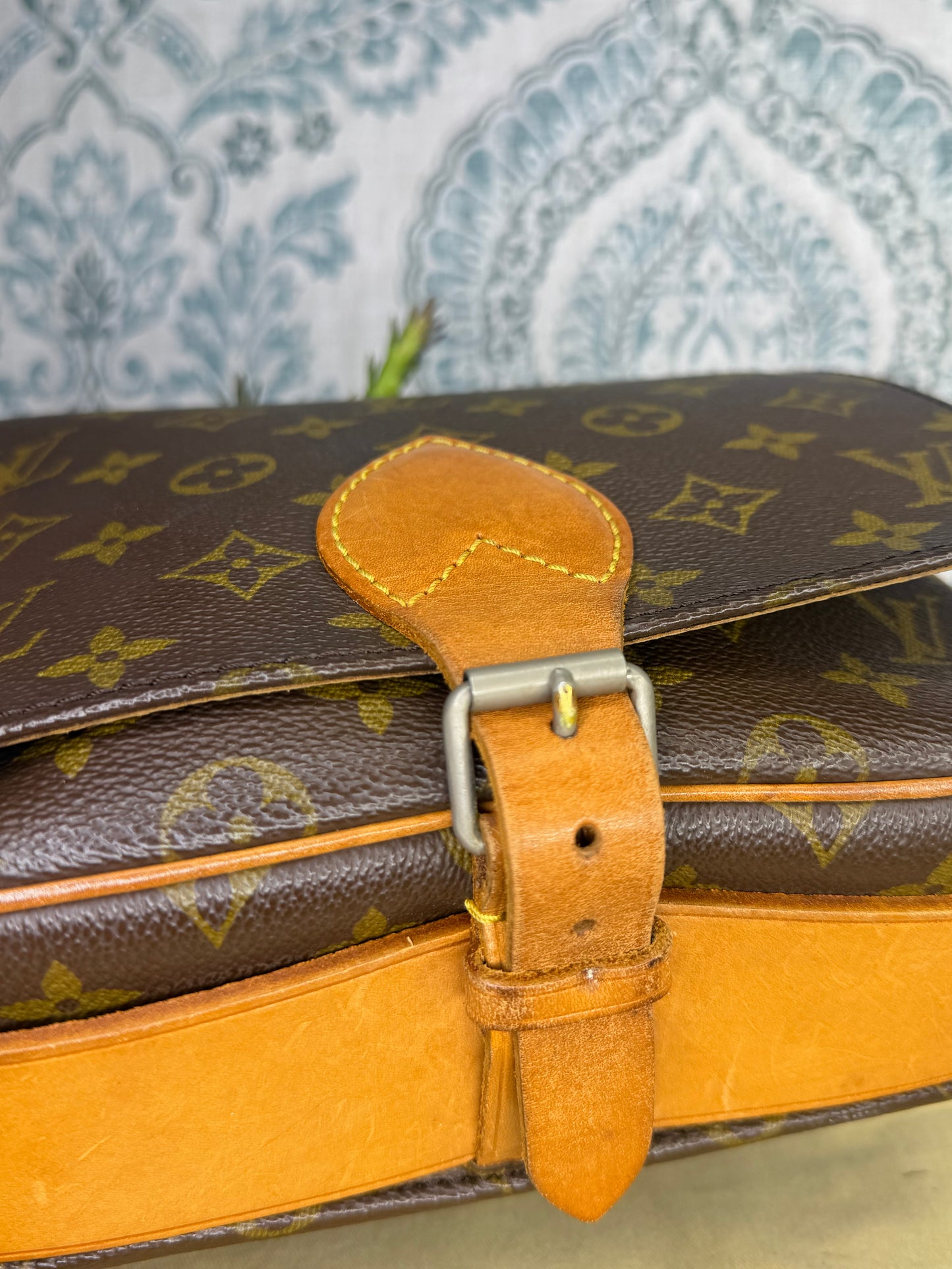 Louis Vuitton Cartouchiere MM #2