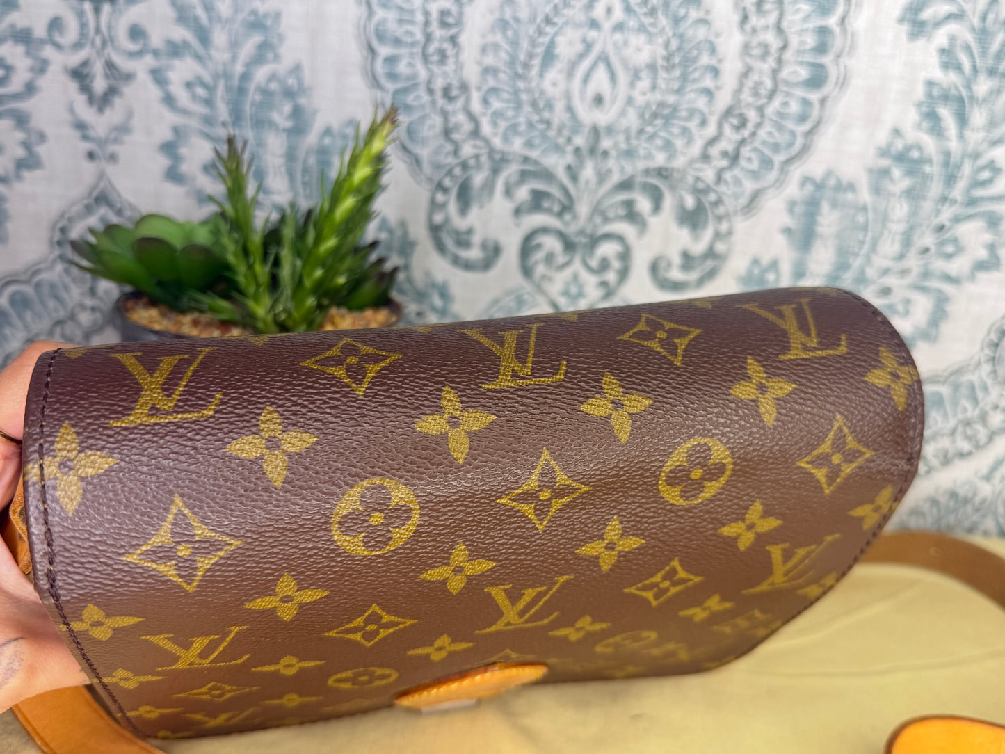 Louis Vuitton Cartouchiere MM #2
