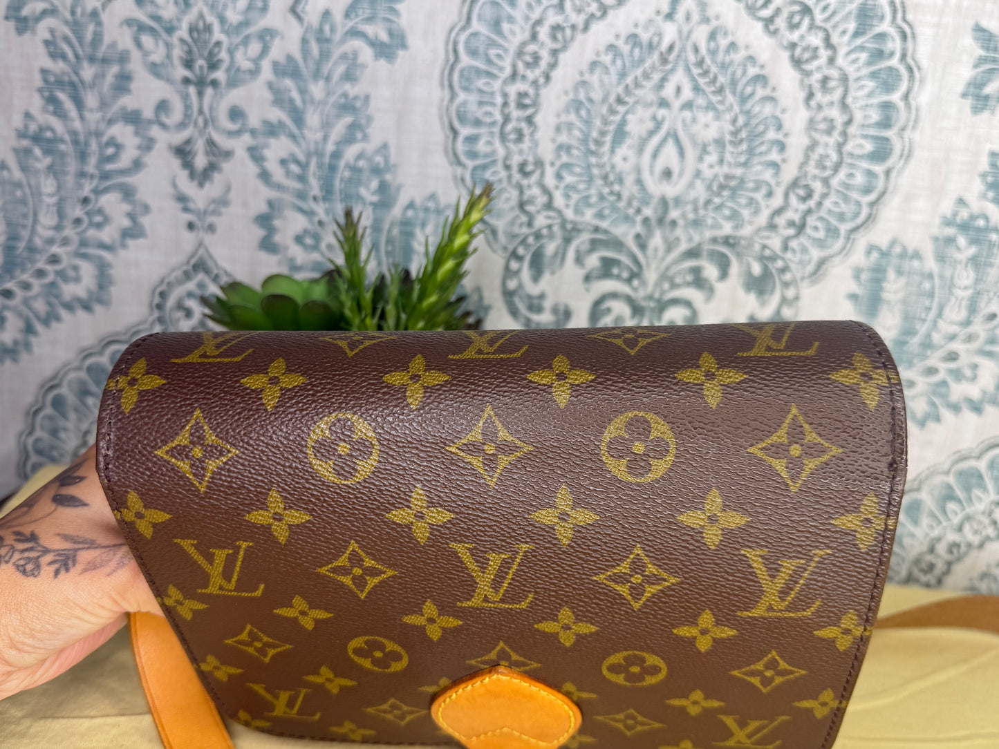 Louis Vuitton Cartouchiere MM #2