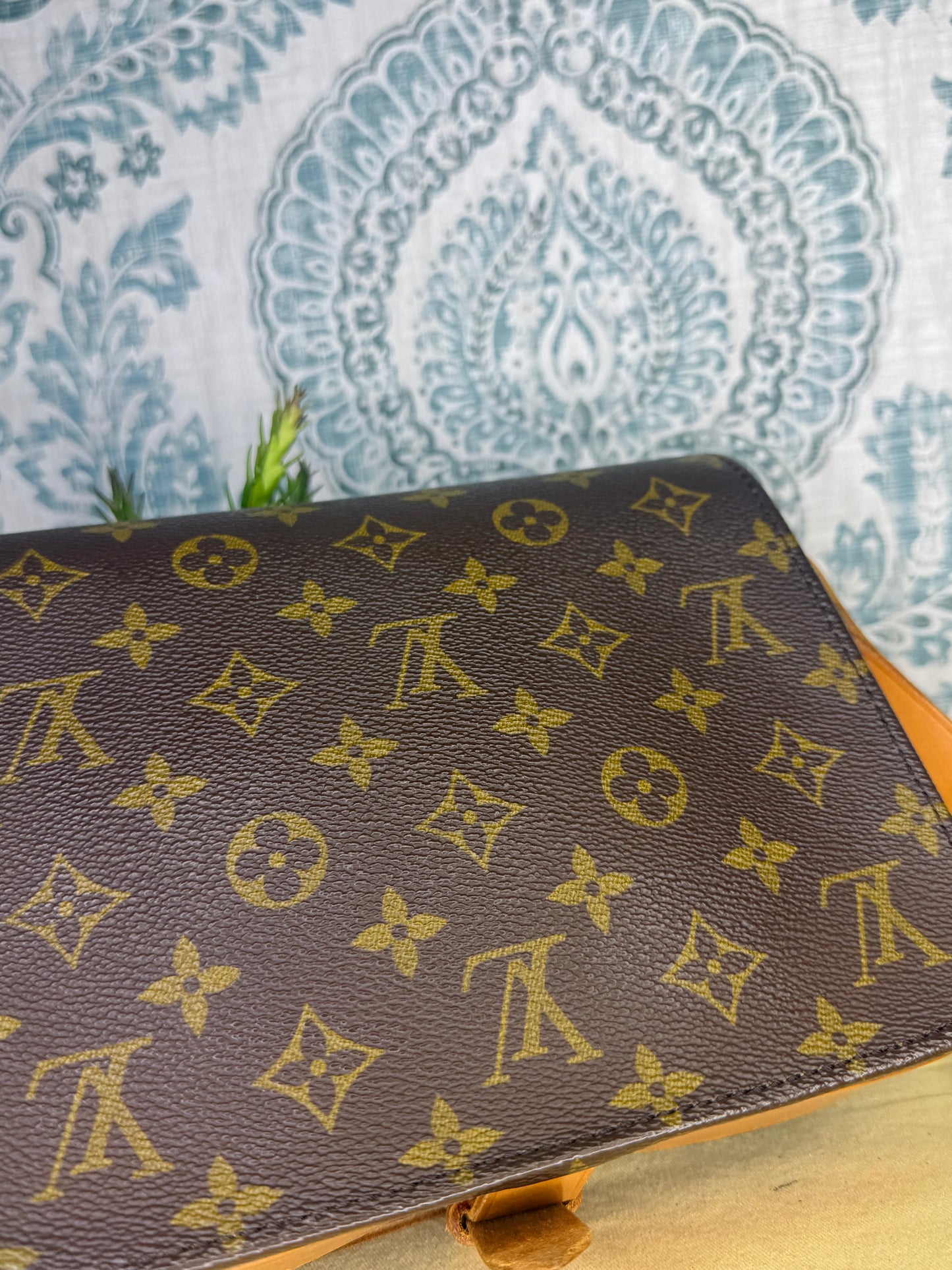 Louis Vuitton Cartouchiere MM #2