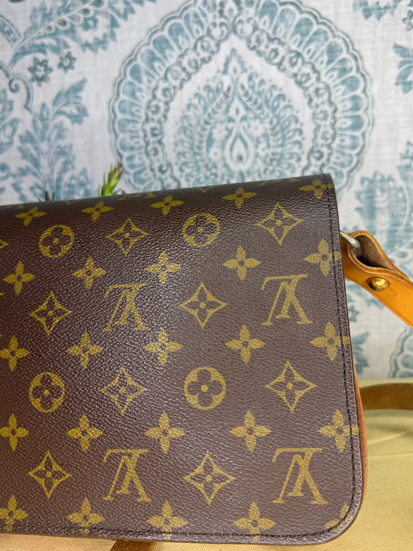 Louis Vuitton Cartouchiere MM #2
