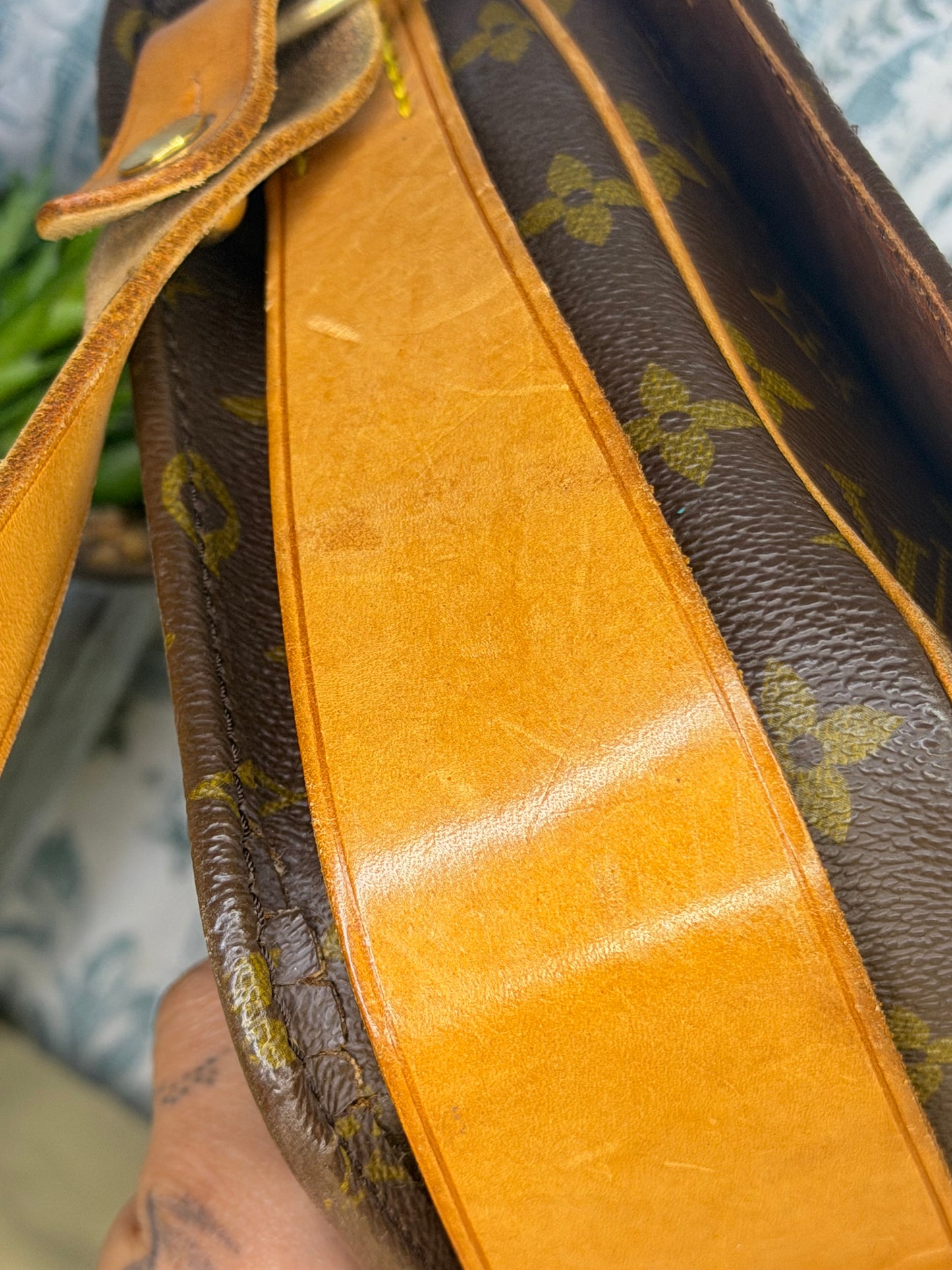 Louis Vuitton Cartouchiere MM #2