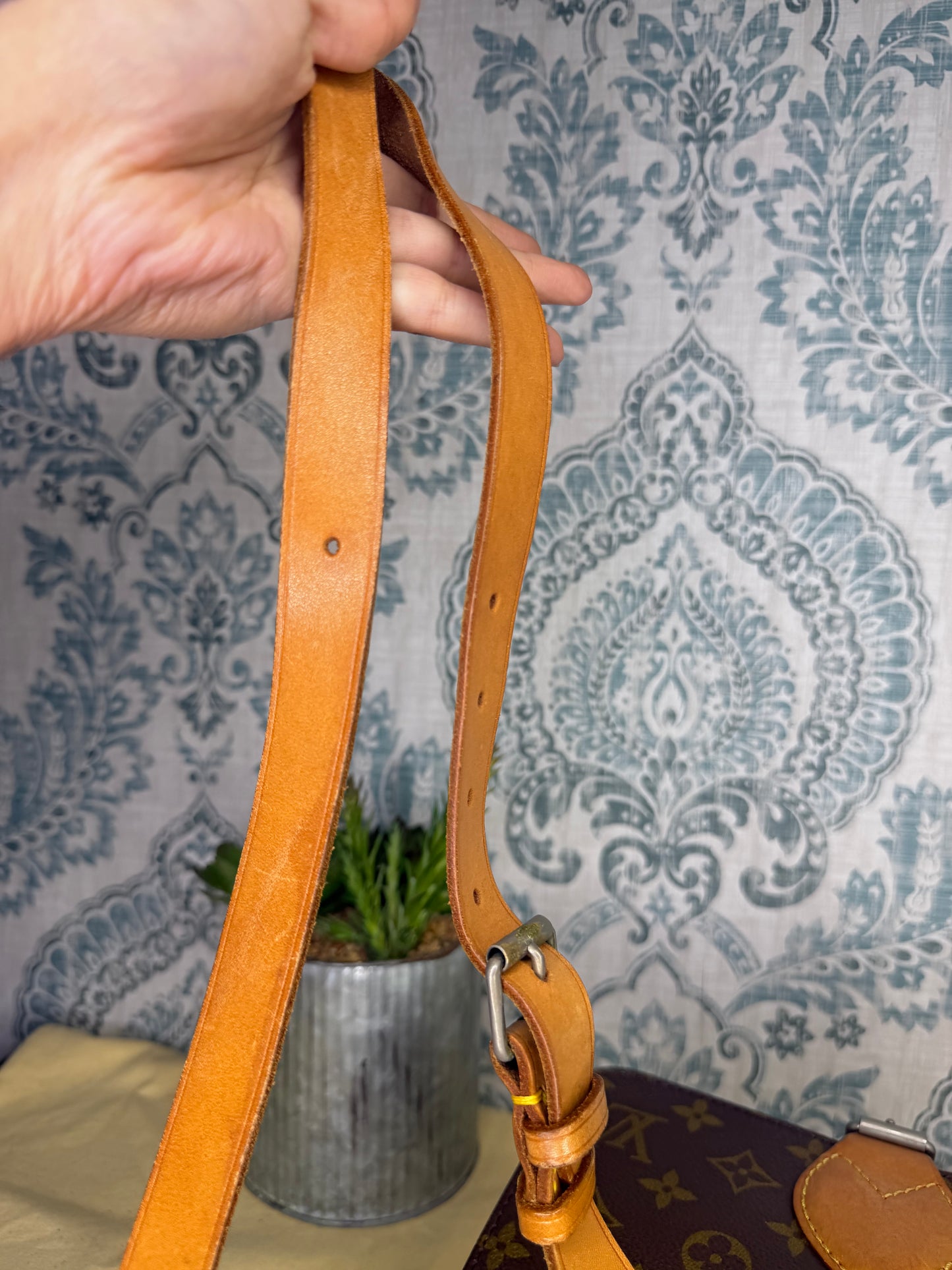 Louis Vuitton Cartouchiere MM #2