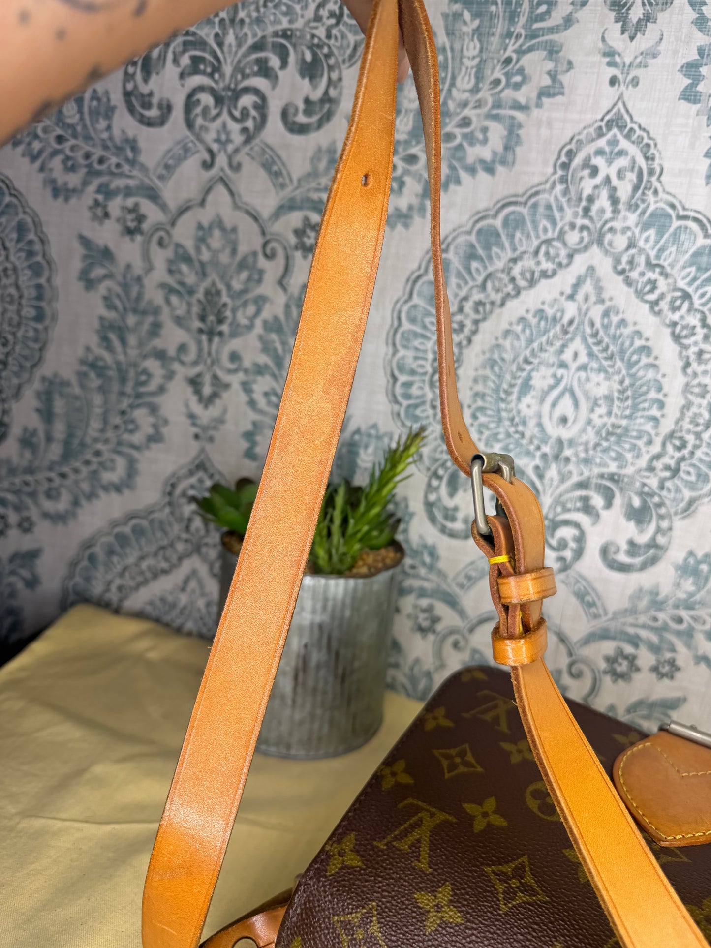 Louis Vuitton Cartouchiere MM #2