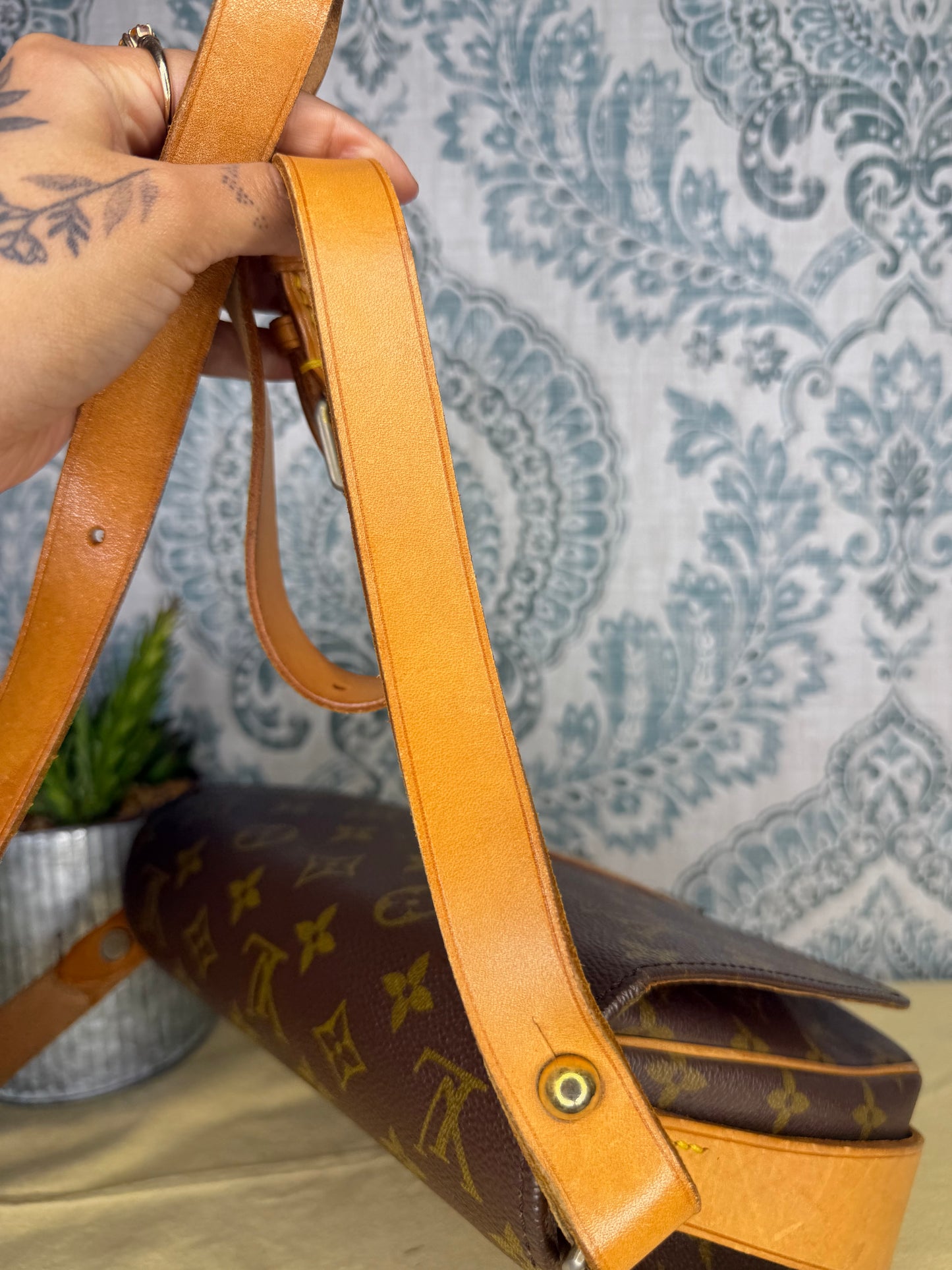 Louis Vuitton Cartouchiere MM #2