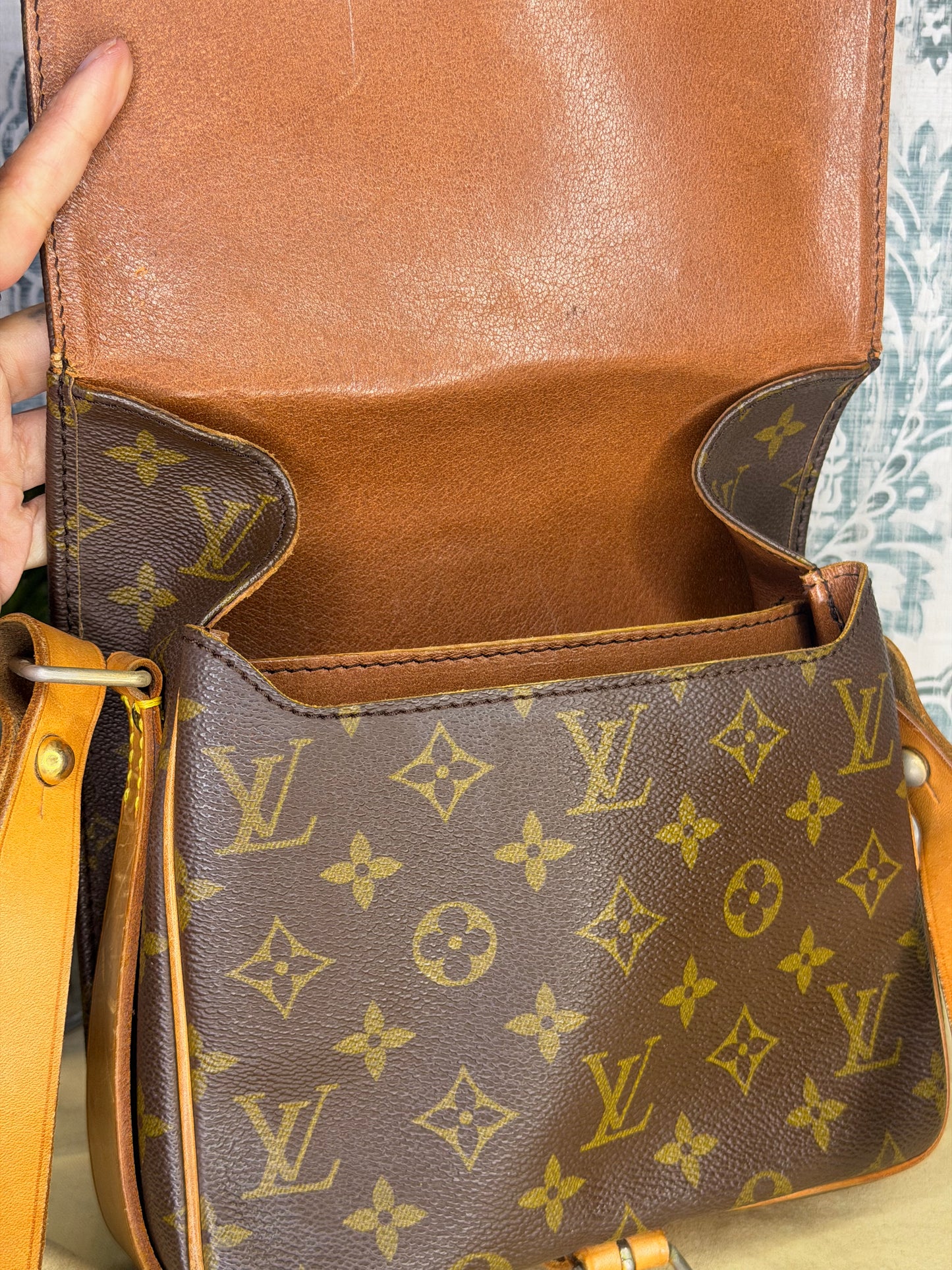 Louis Vuitton Cartouchiere MM #2