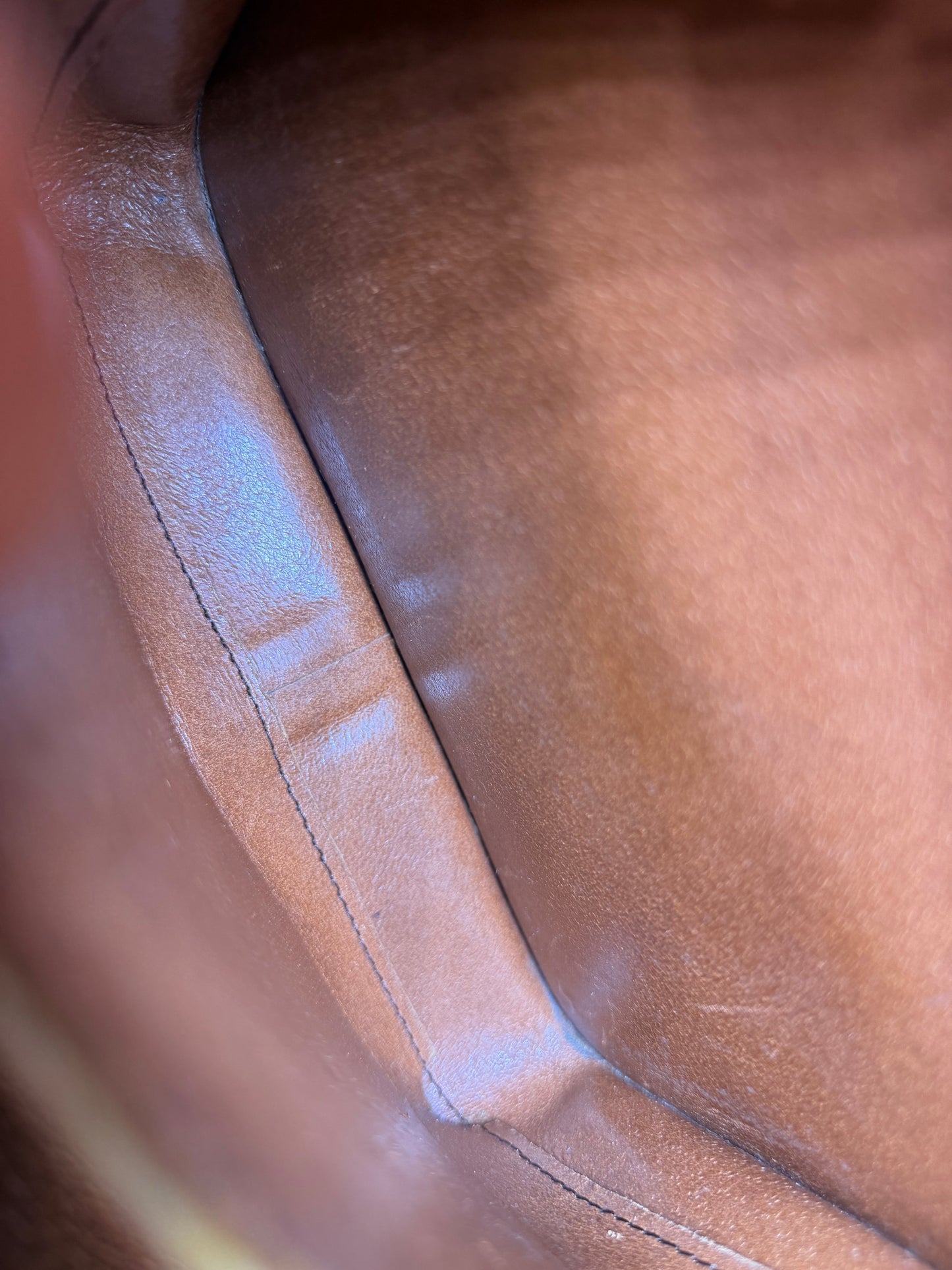 Louis Vuitton Cartouchiere MM #2