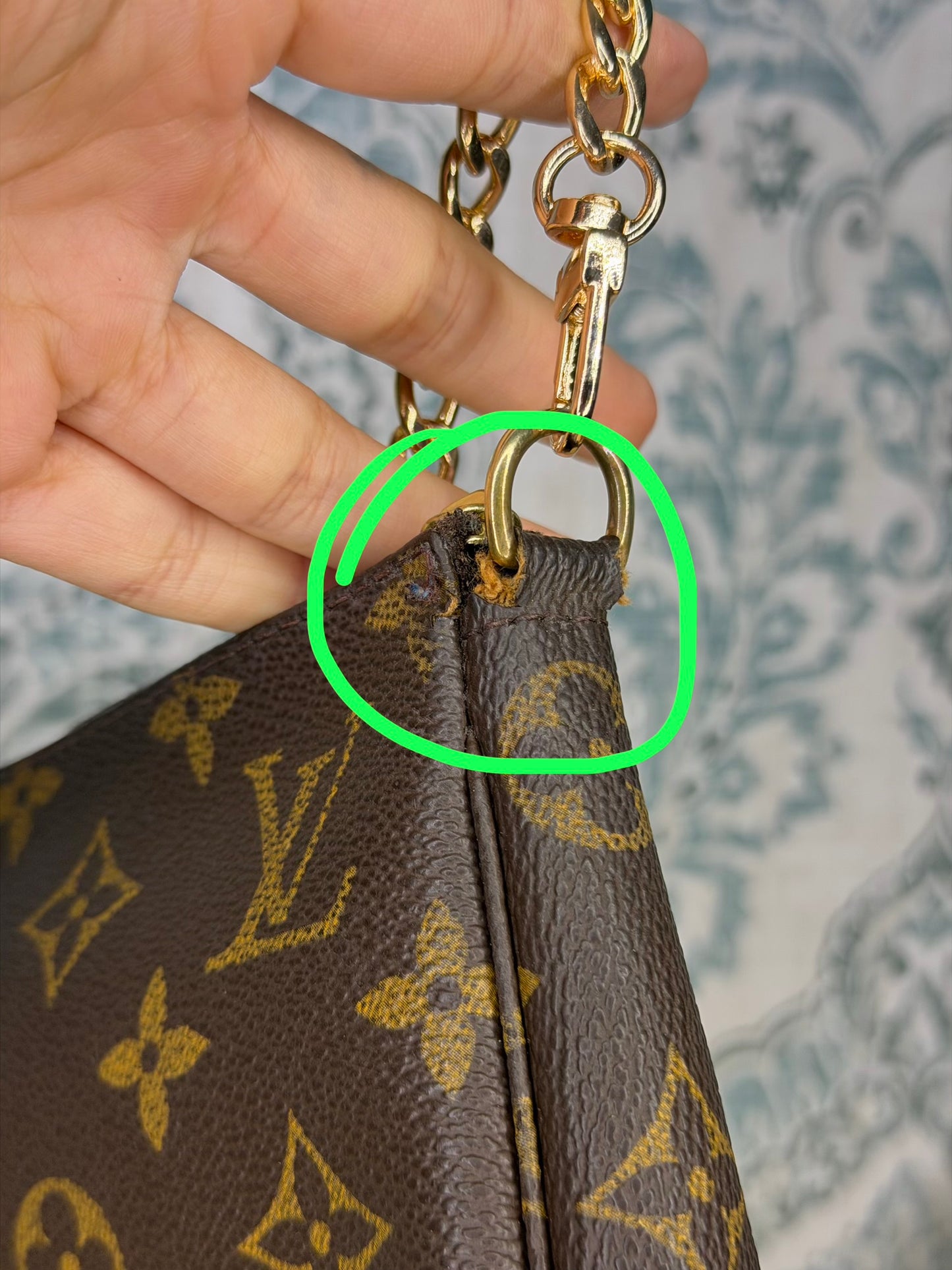 Louis Vuitton Pochette Accessories