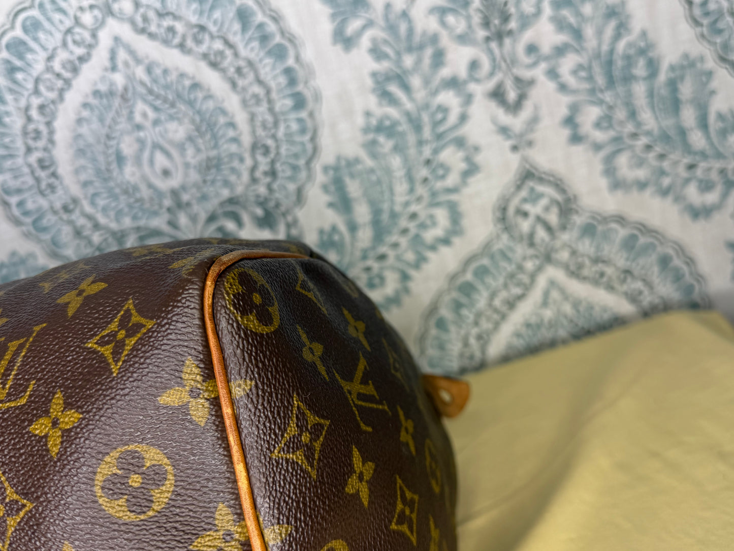 Louis Vuitton Speedy 35