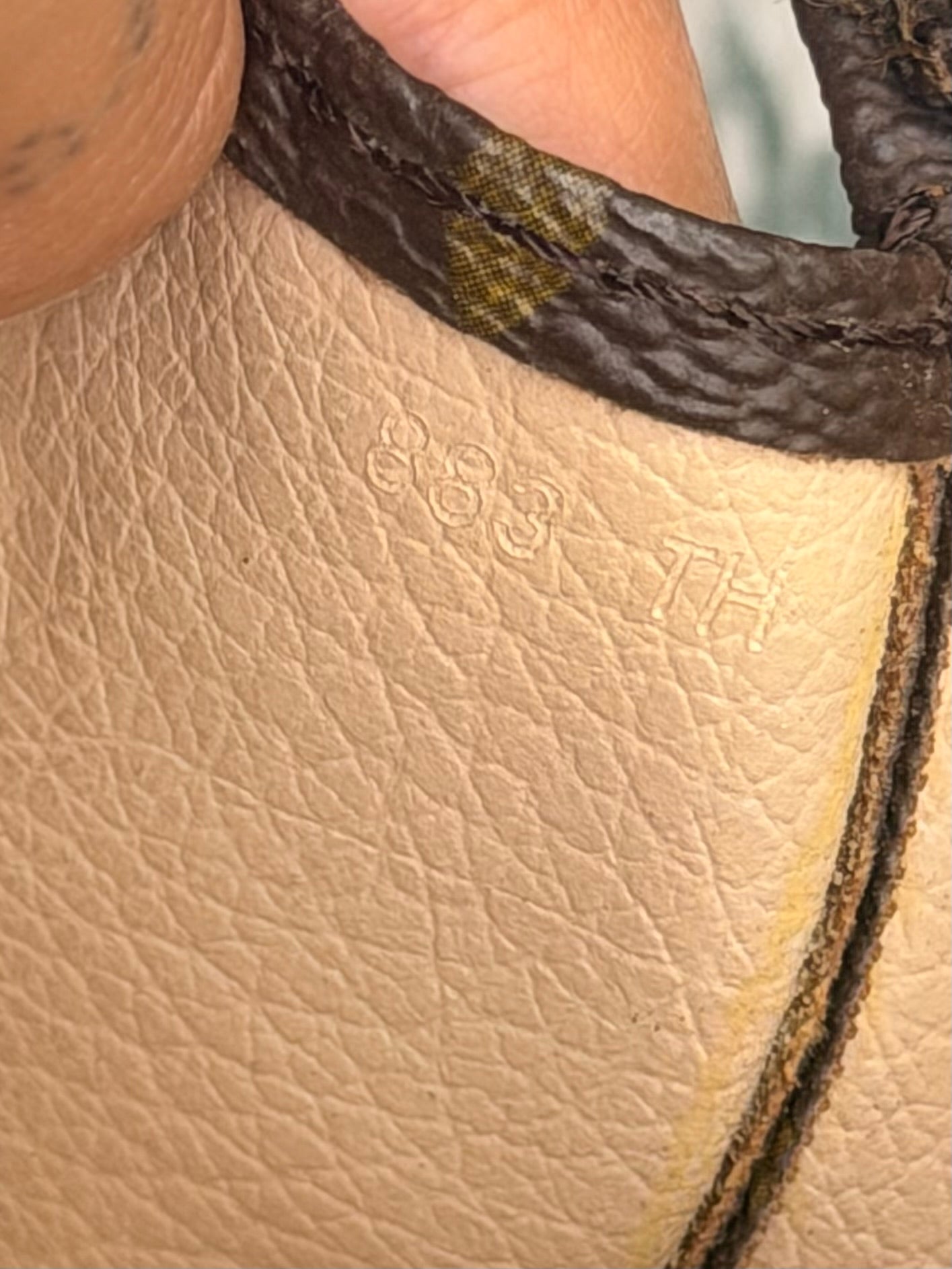 Louis Vuitton Monogram Toiletry 26