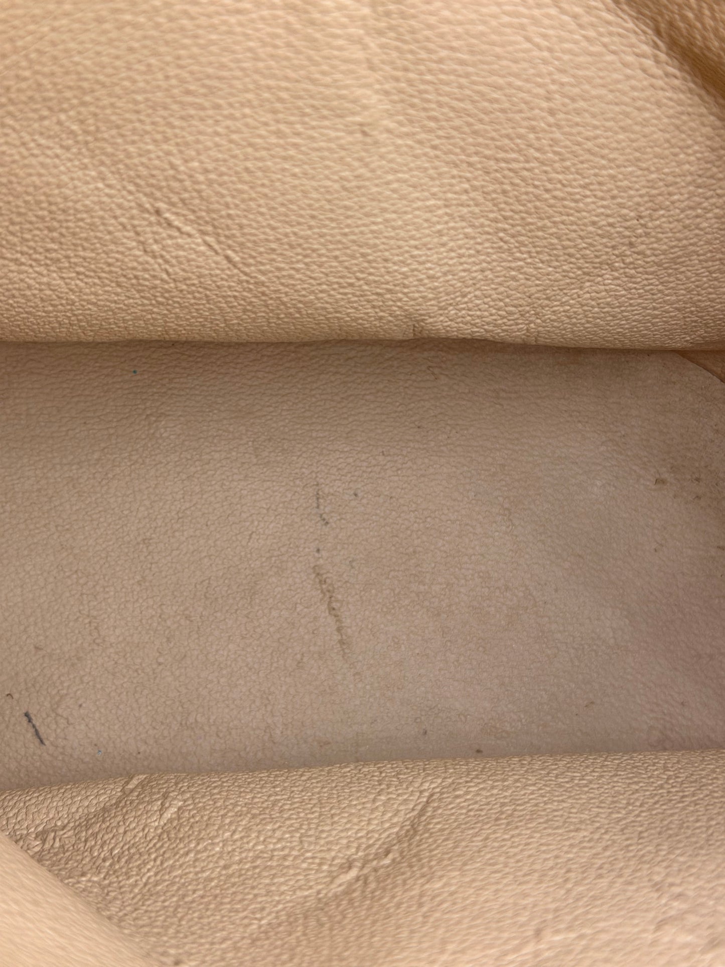 Louis Vuitton Monogram Bucket PM