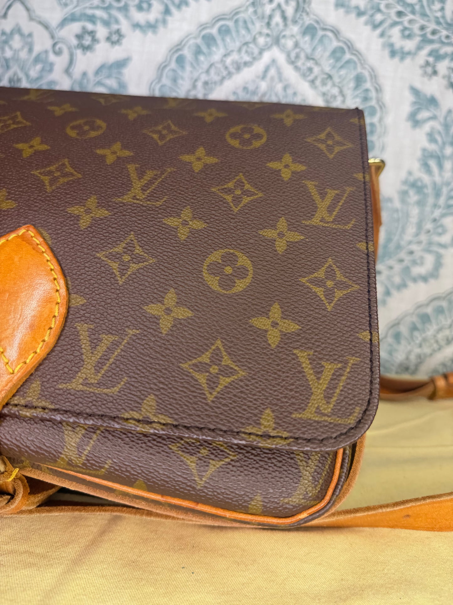 Louis Vuitton Cartouchiere GM #1