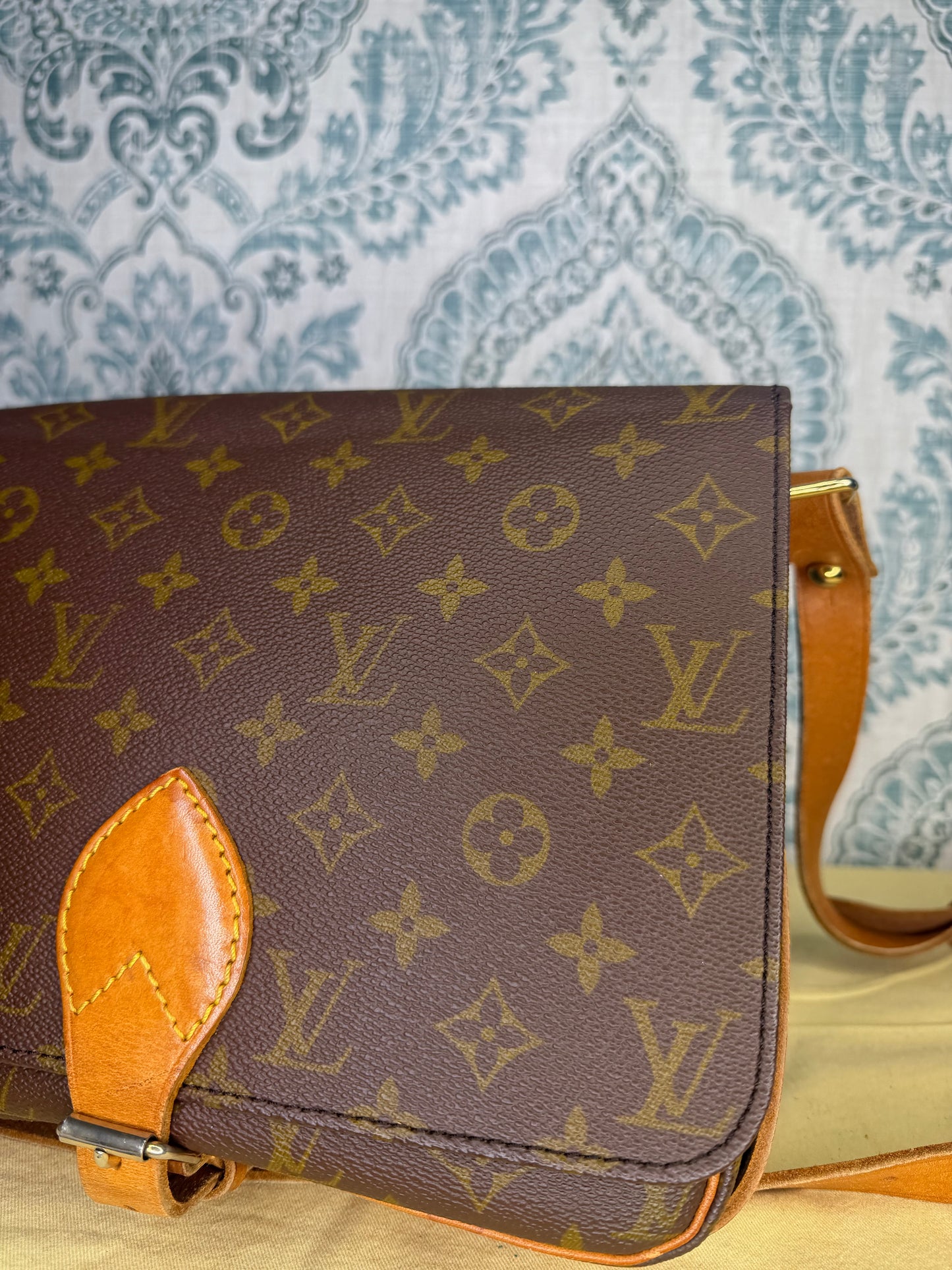 Louis Vuitton Cartouchiere GM #1