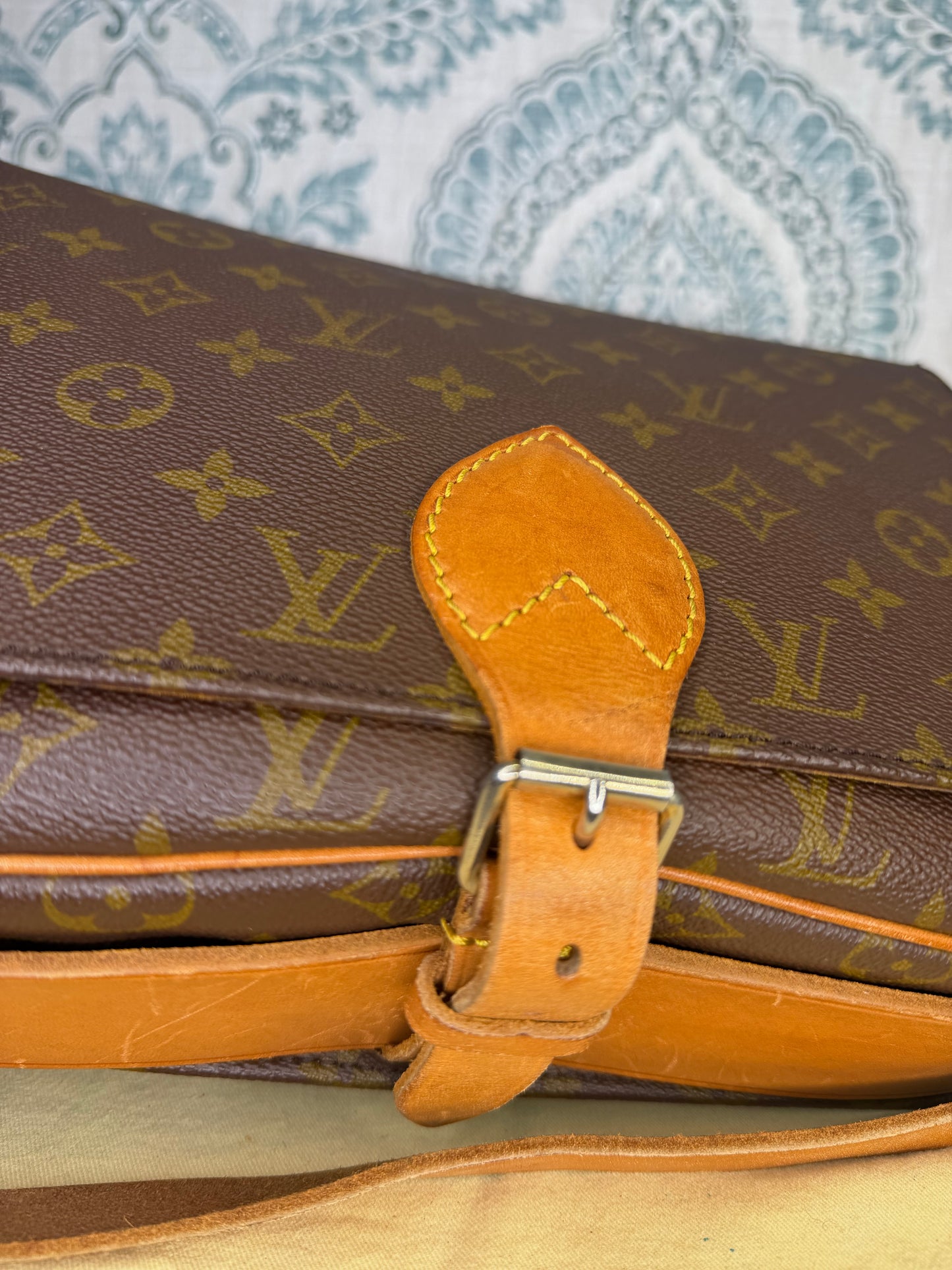 Louis Vuitton Cartouchiere GM #1