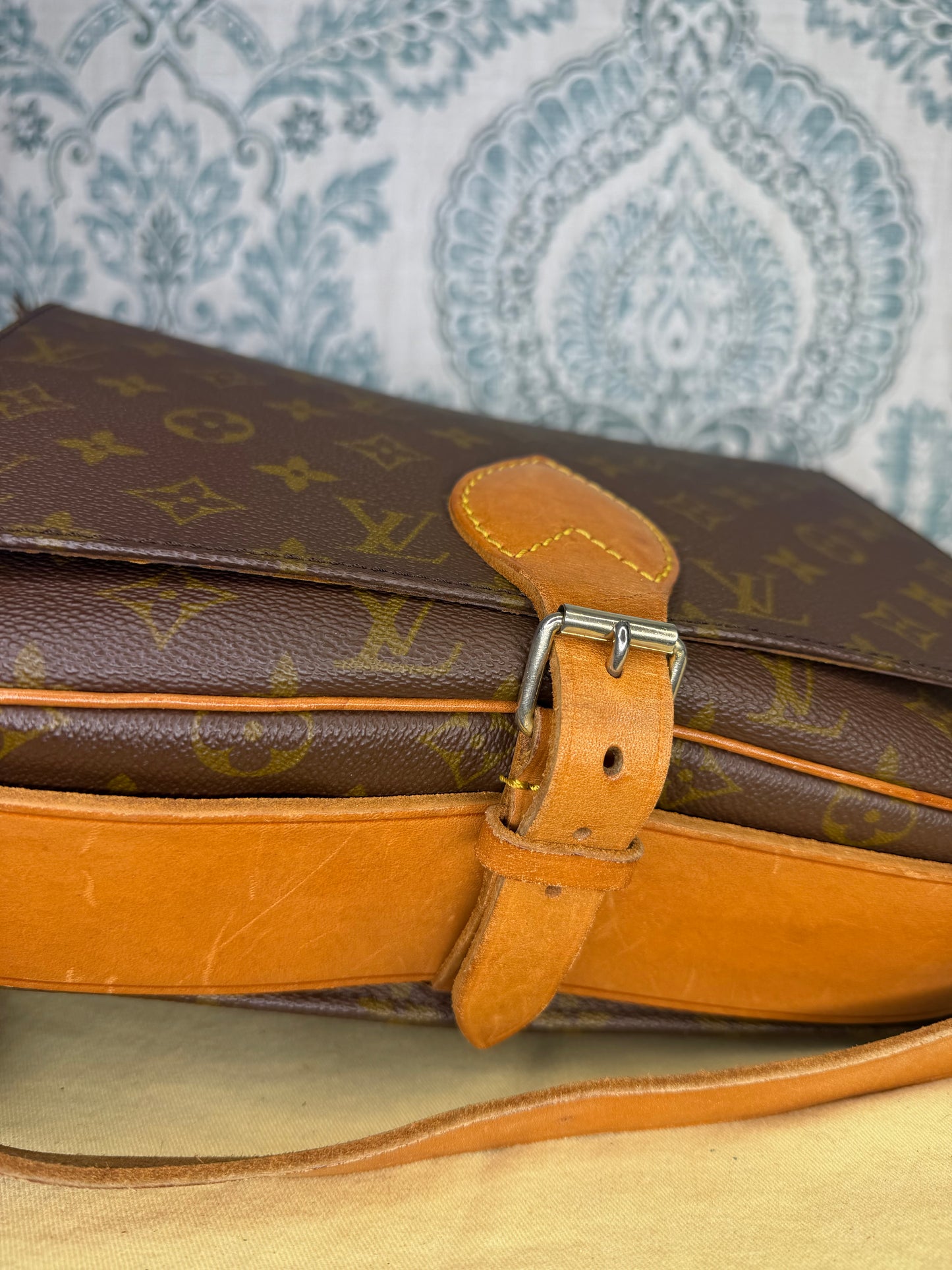 Louis Vuitton Cartouchiere GM #1