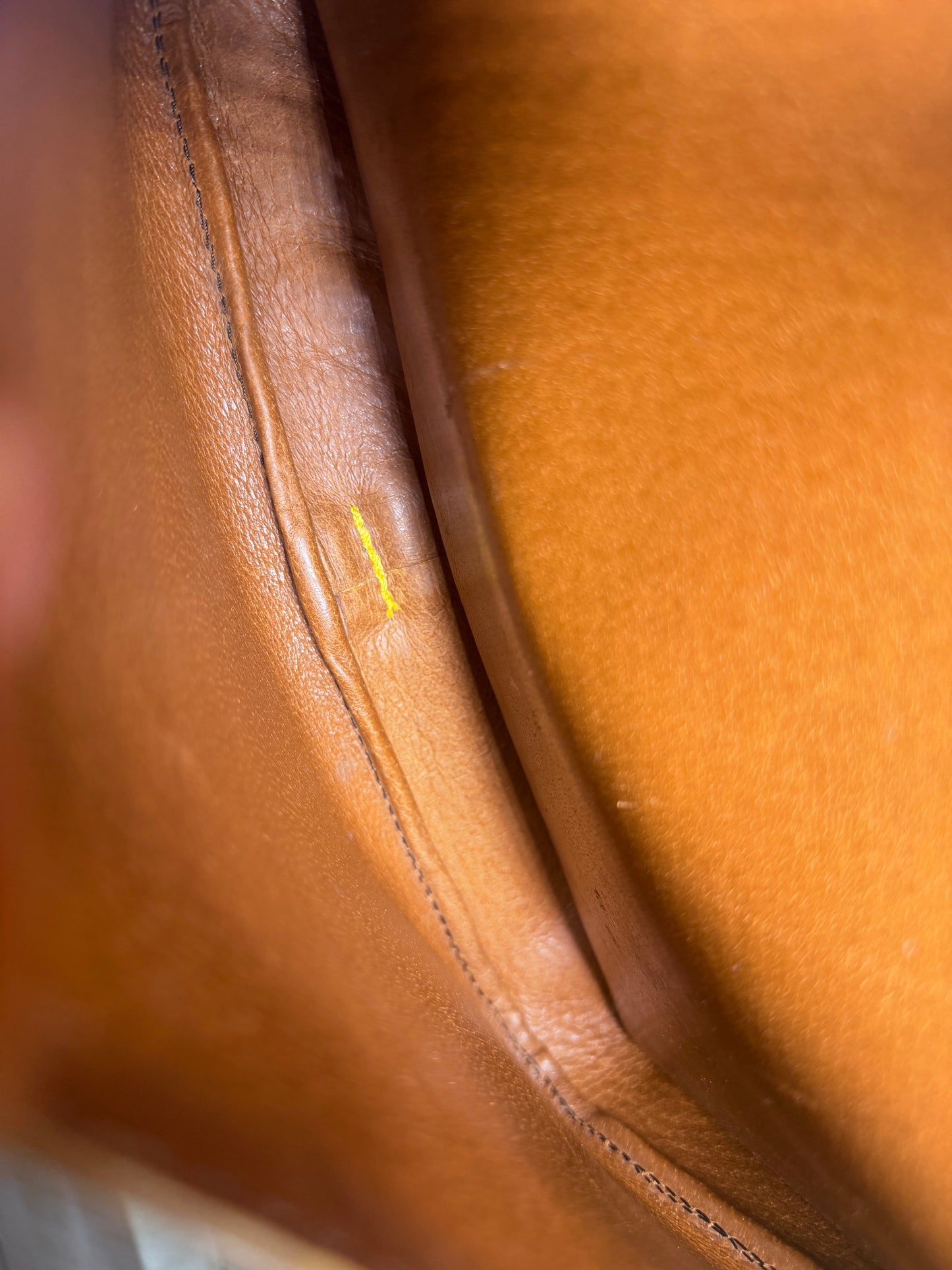 Louis Vuitton Cartouchiere GM #1