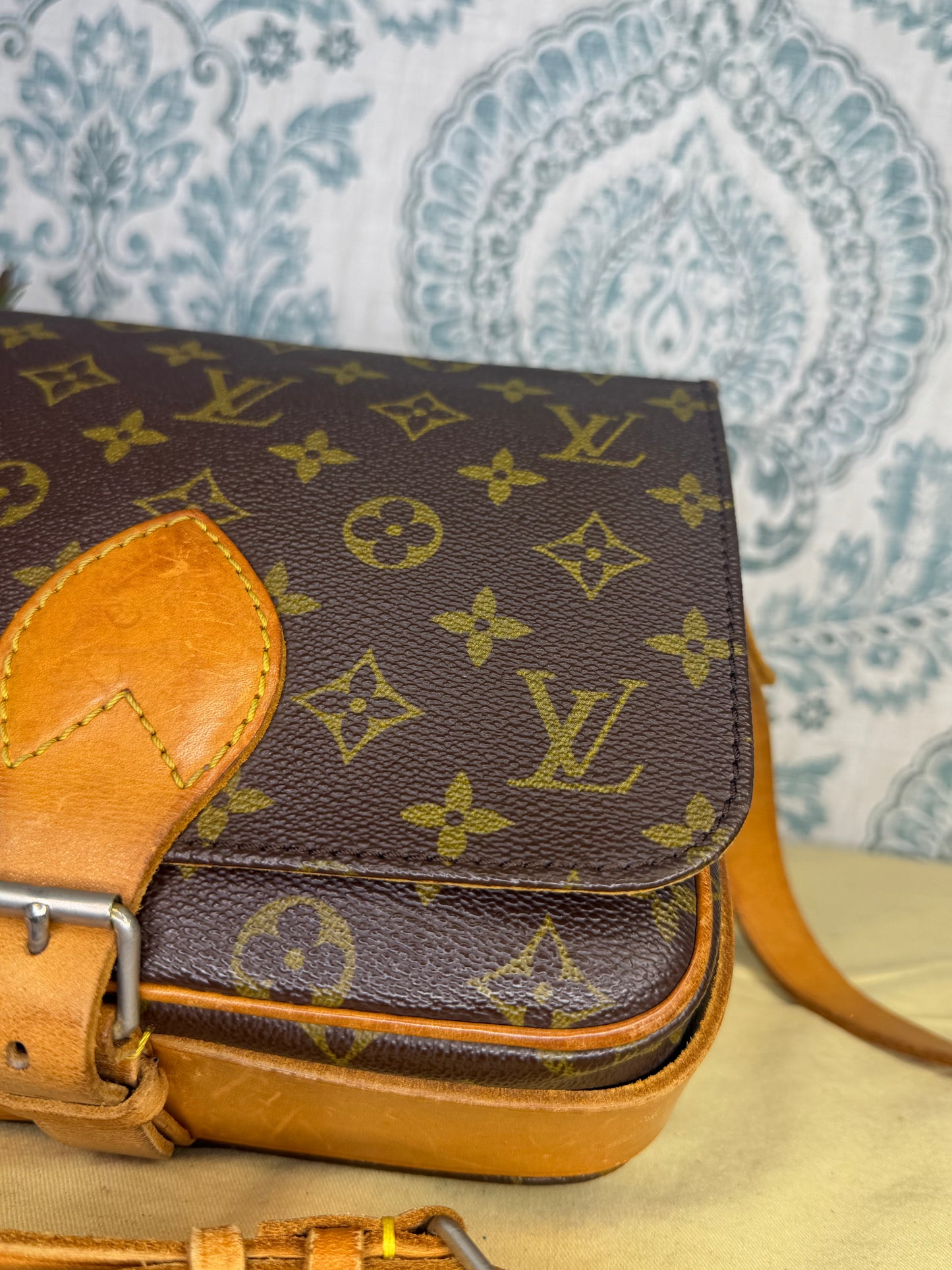 Louis Vuitton Cartouchiere MM