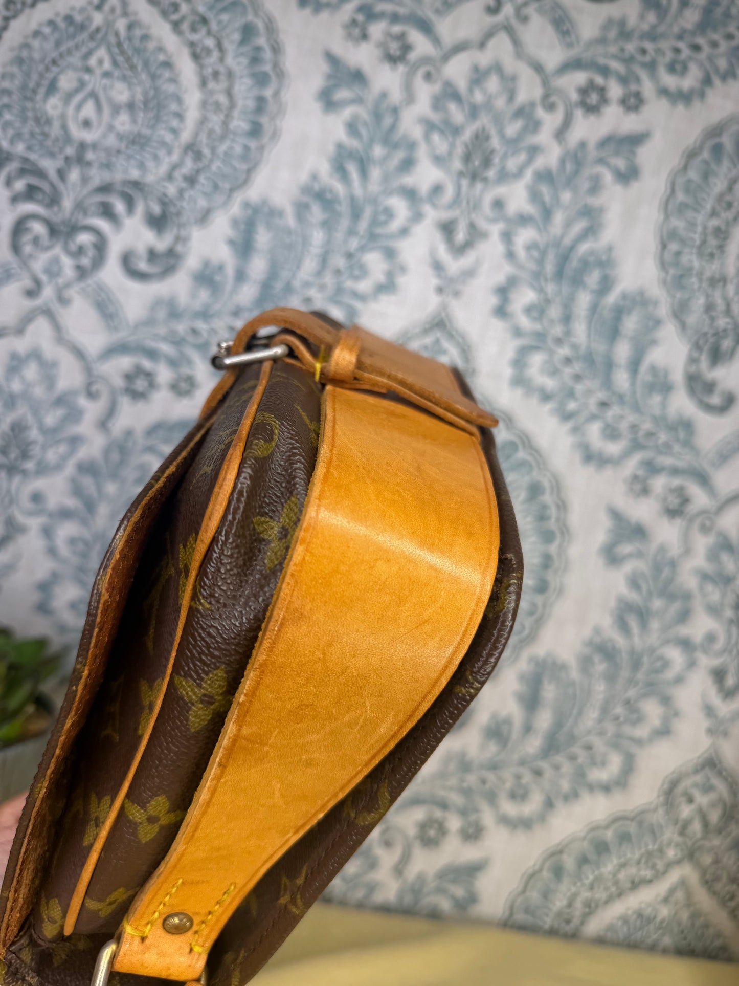 Louis Vuitton Cartouchiere MM