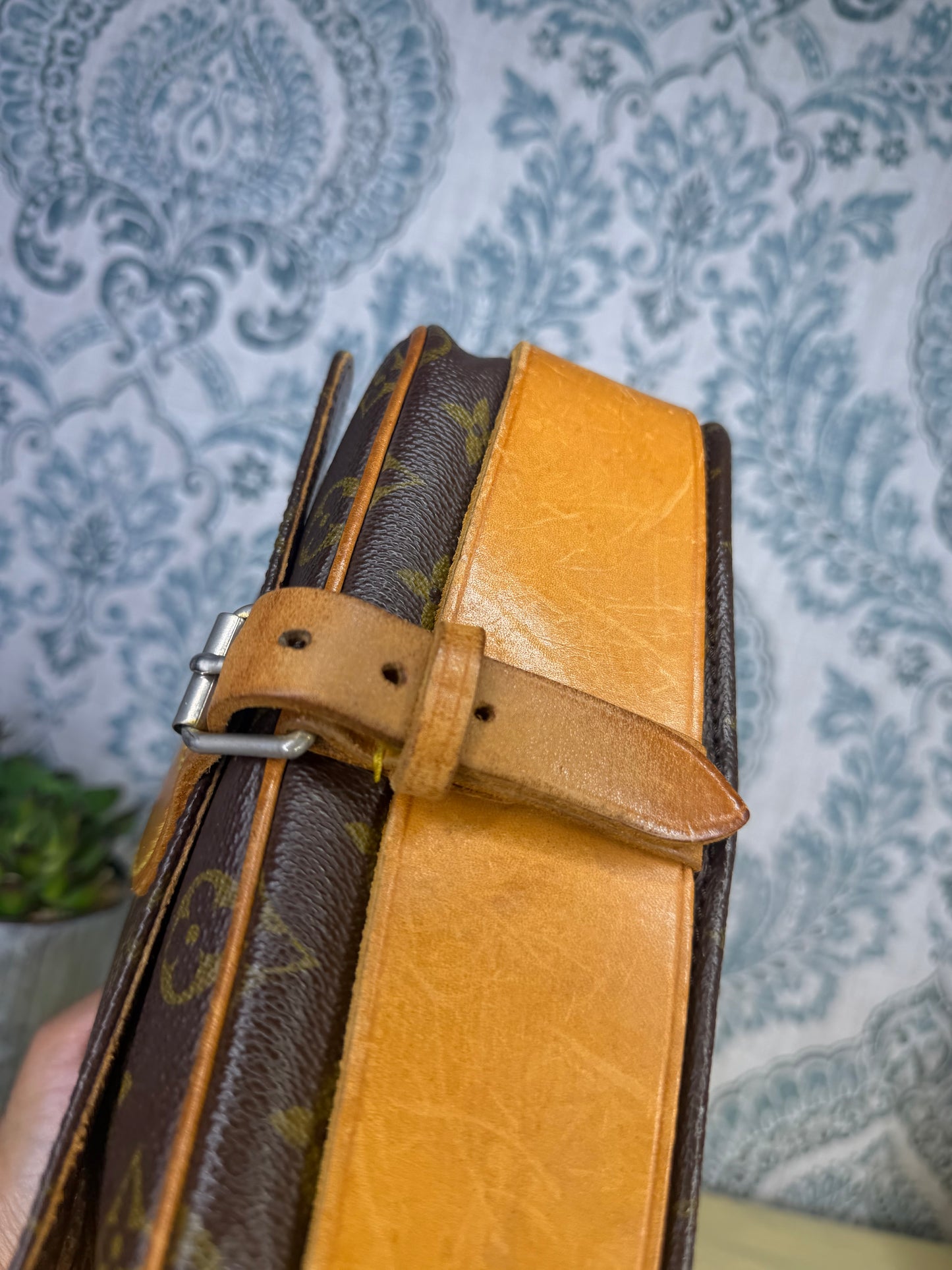 Louis Vuitton Cartouchiere MM