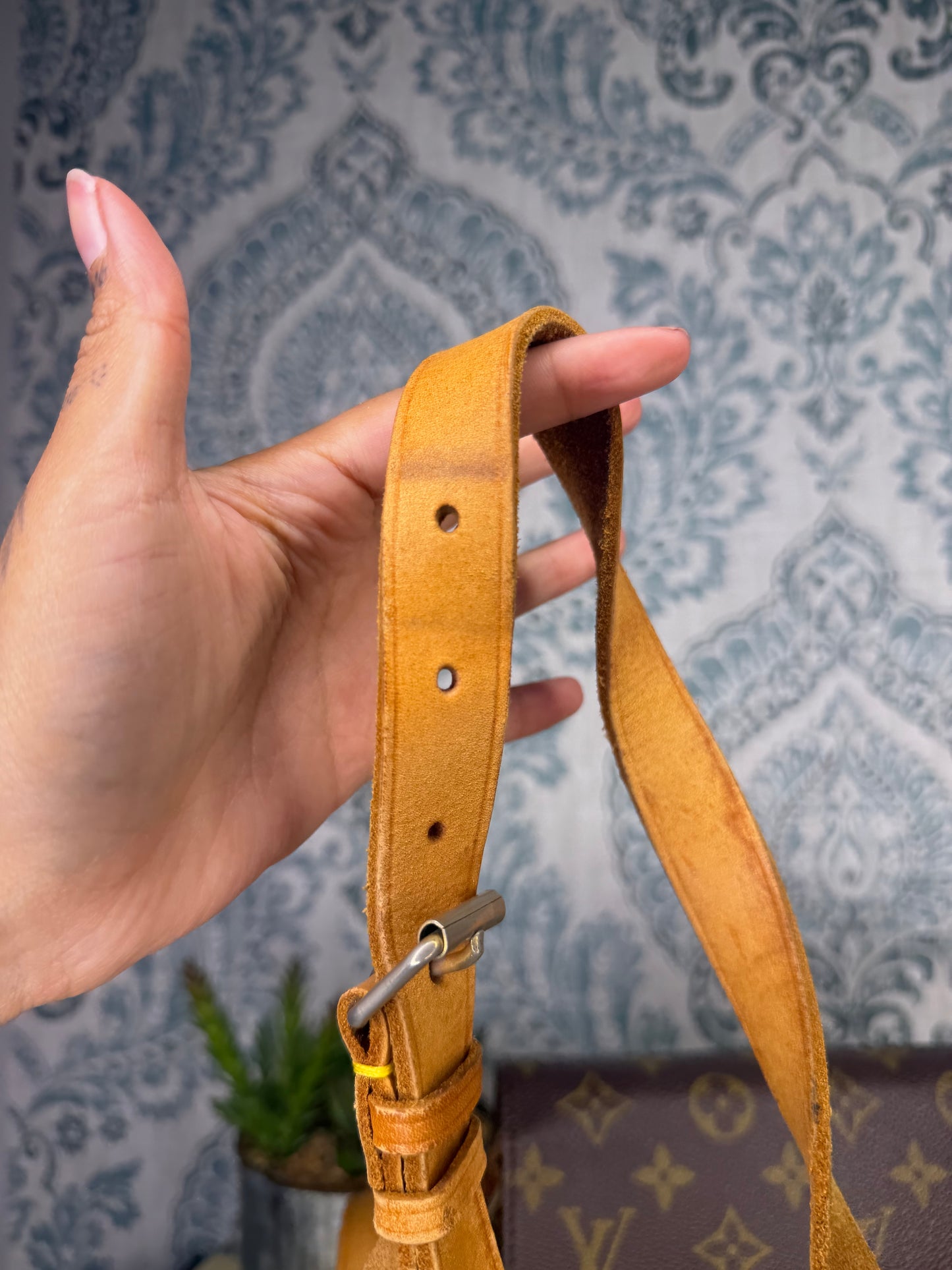 Louis Vuitton Cartouchiere MM