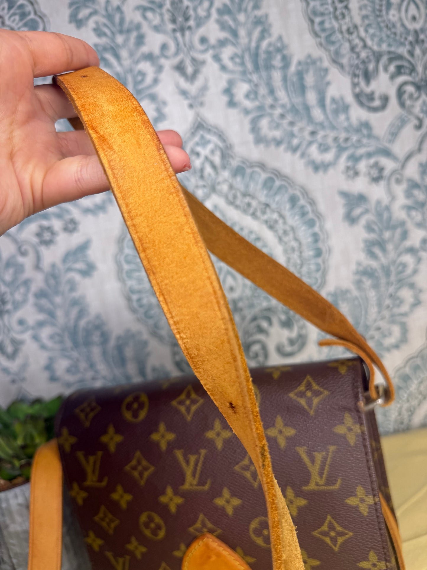 Louis Vuitton Cartouchiere MM