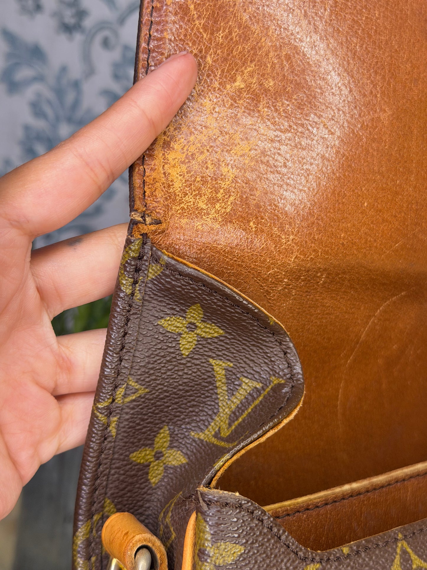 Louis Vuitton Cartouchiere MM