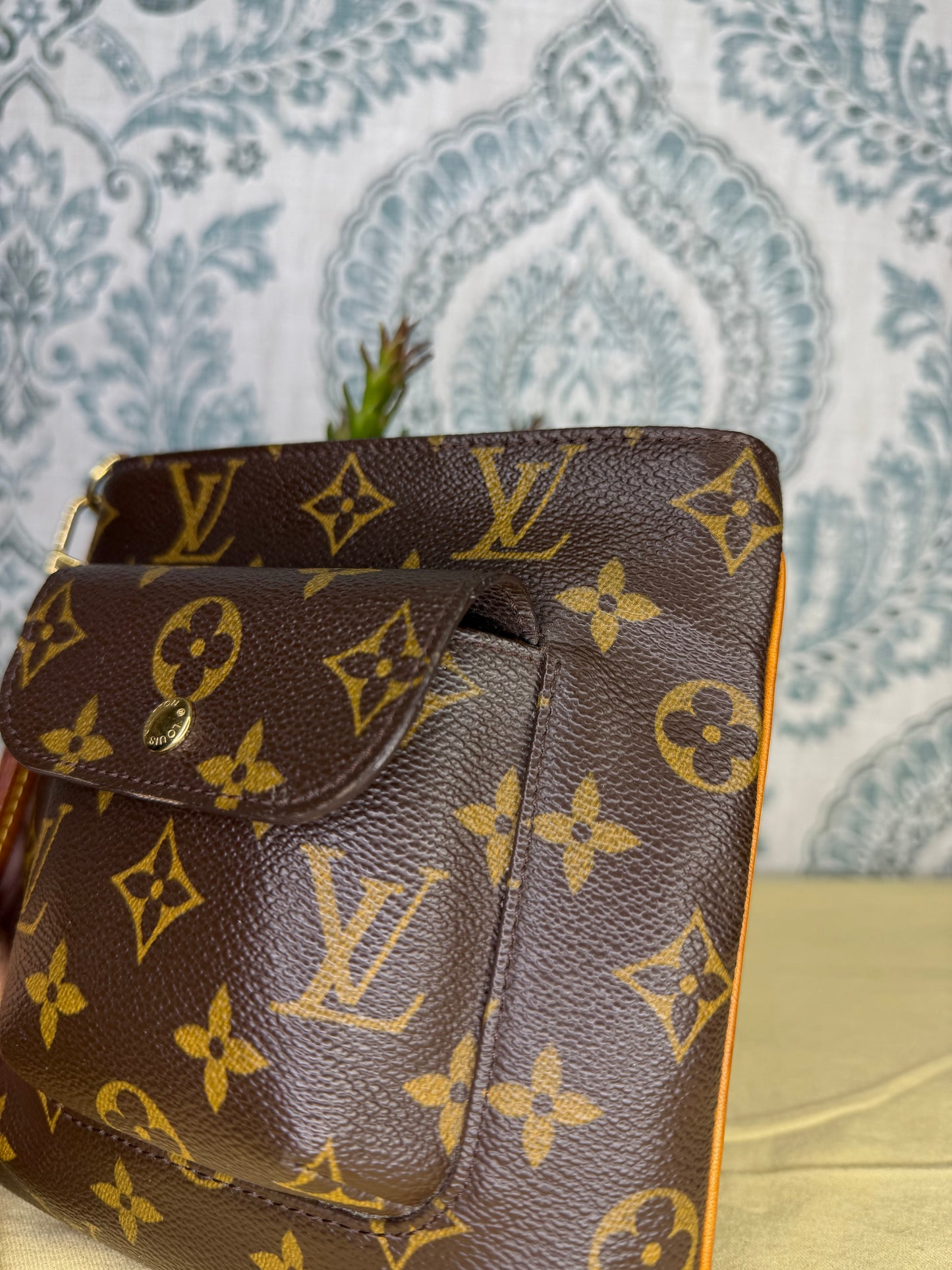 Louis Vuitton Partition Wristlet