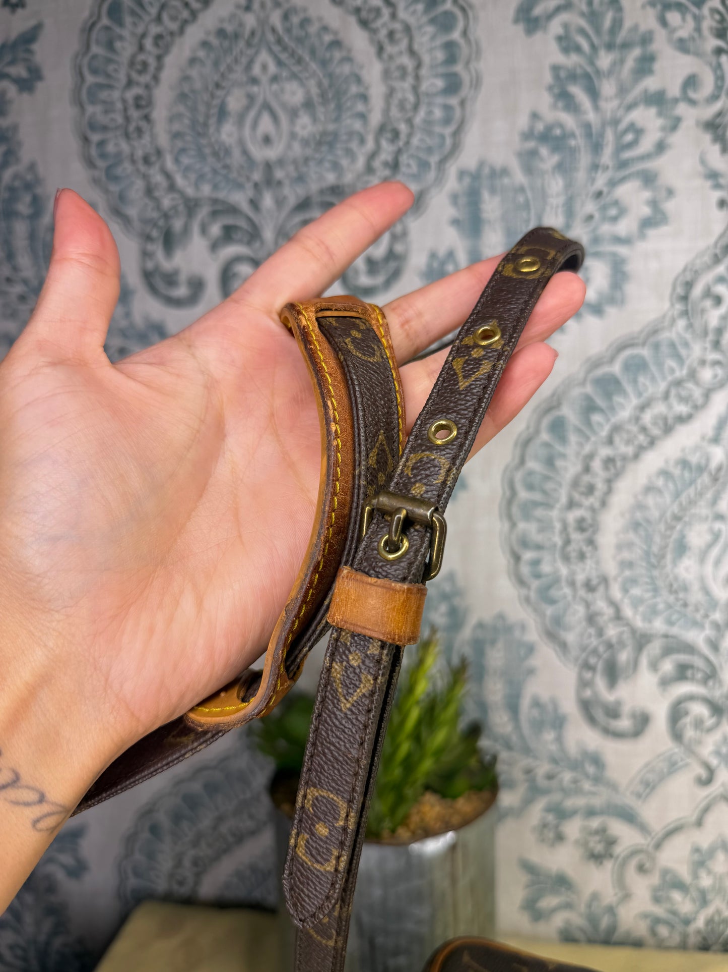 Louis Vuitton Mini Amazon