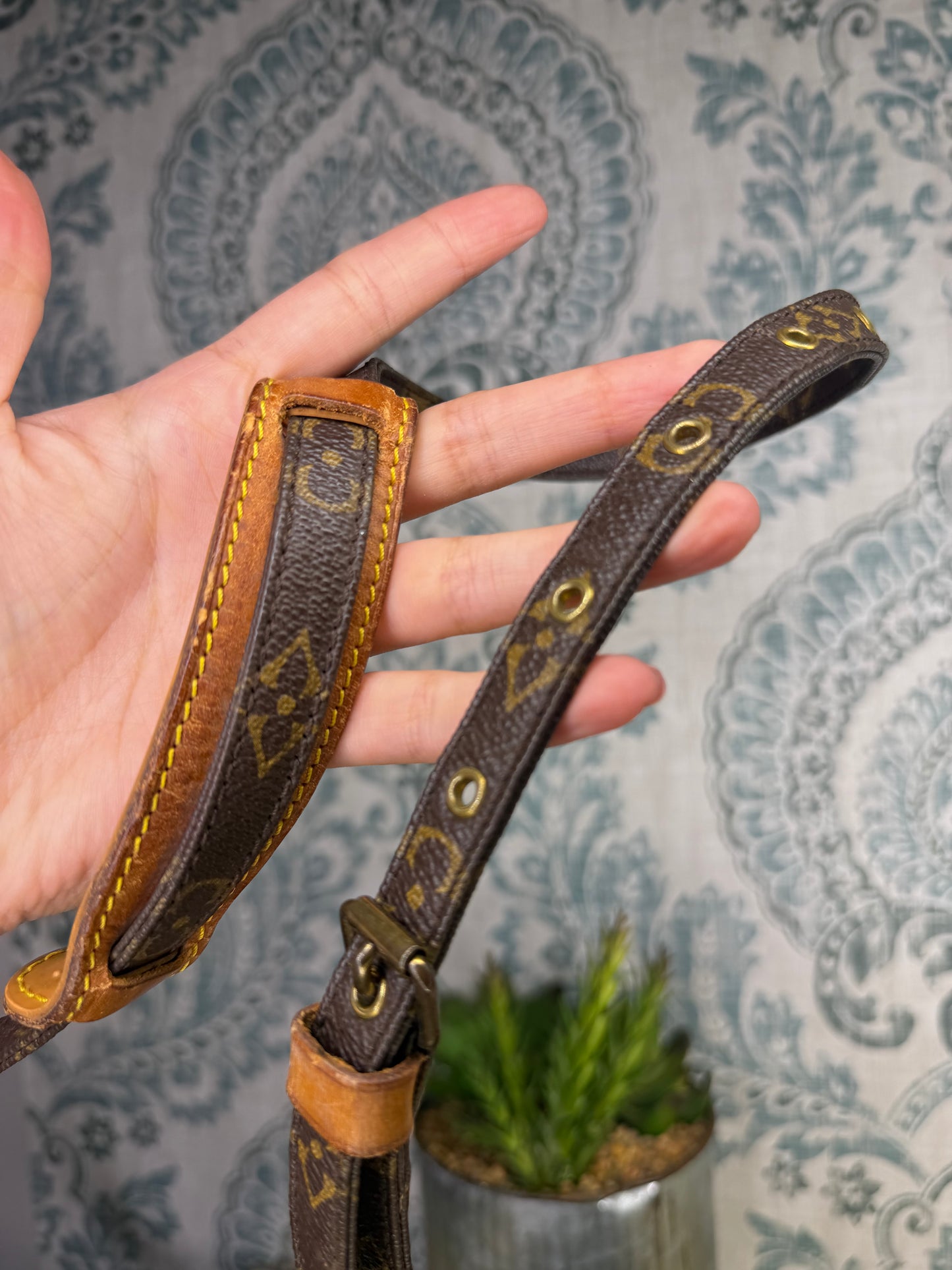 Louis Vuitton Mini Amazon