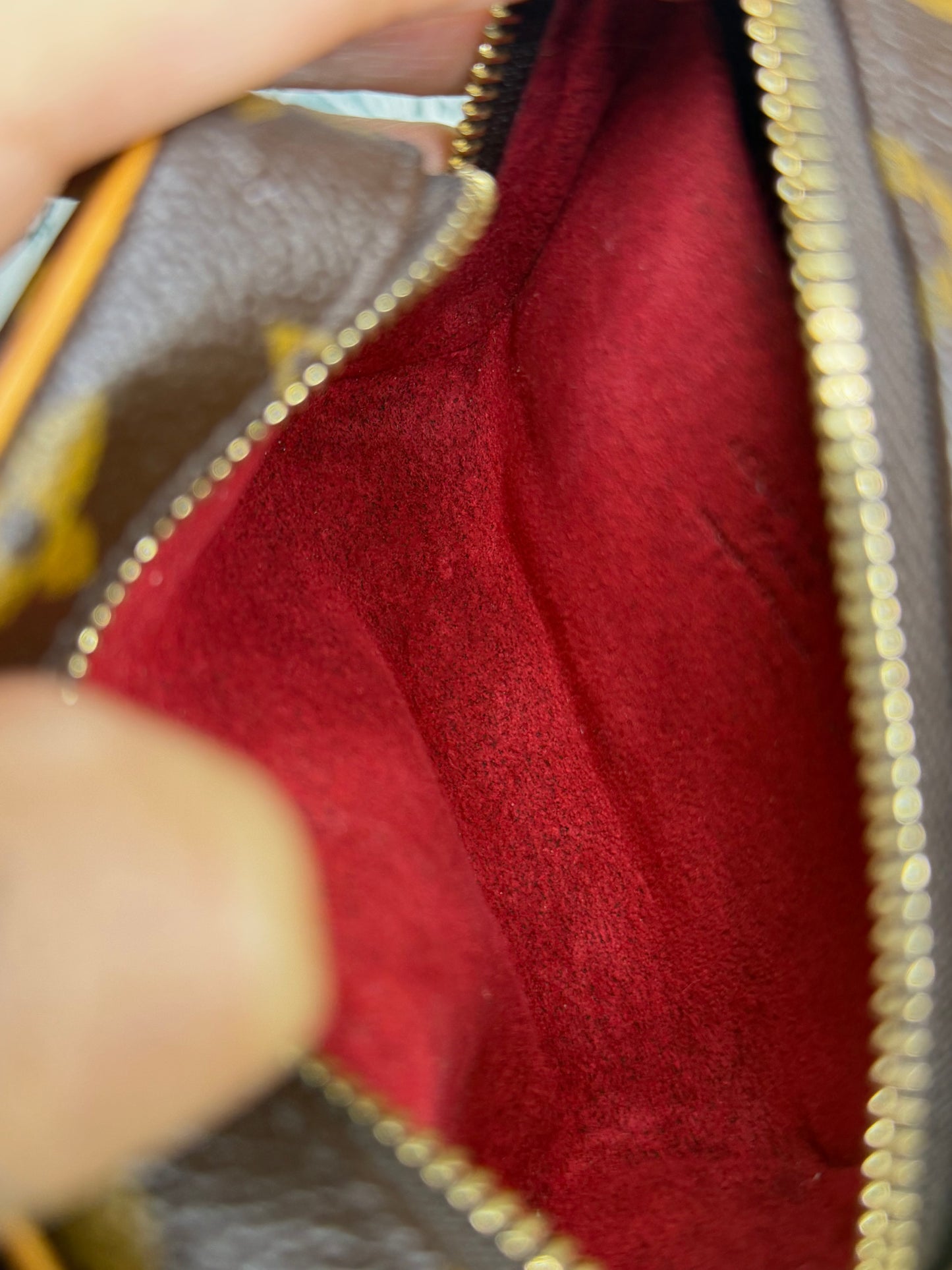 Louis Vuitton Wapity Wristlet Pouch