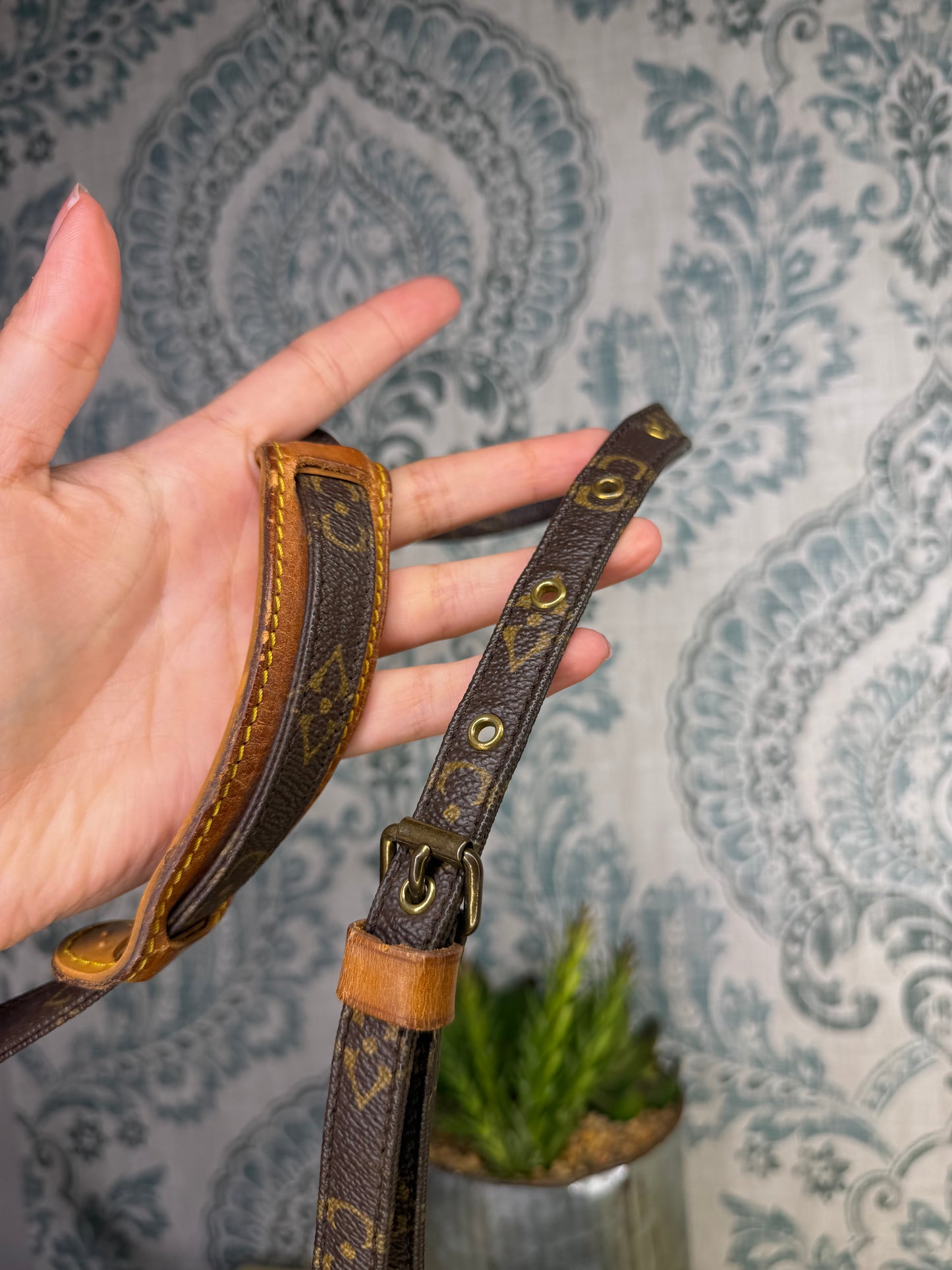 Louis Vuitton Mini Amazon