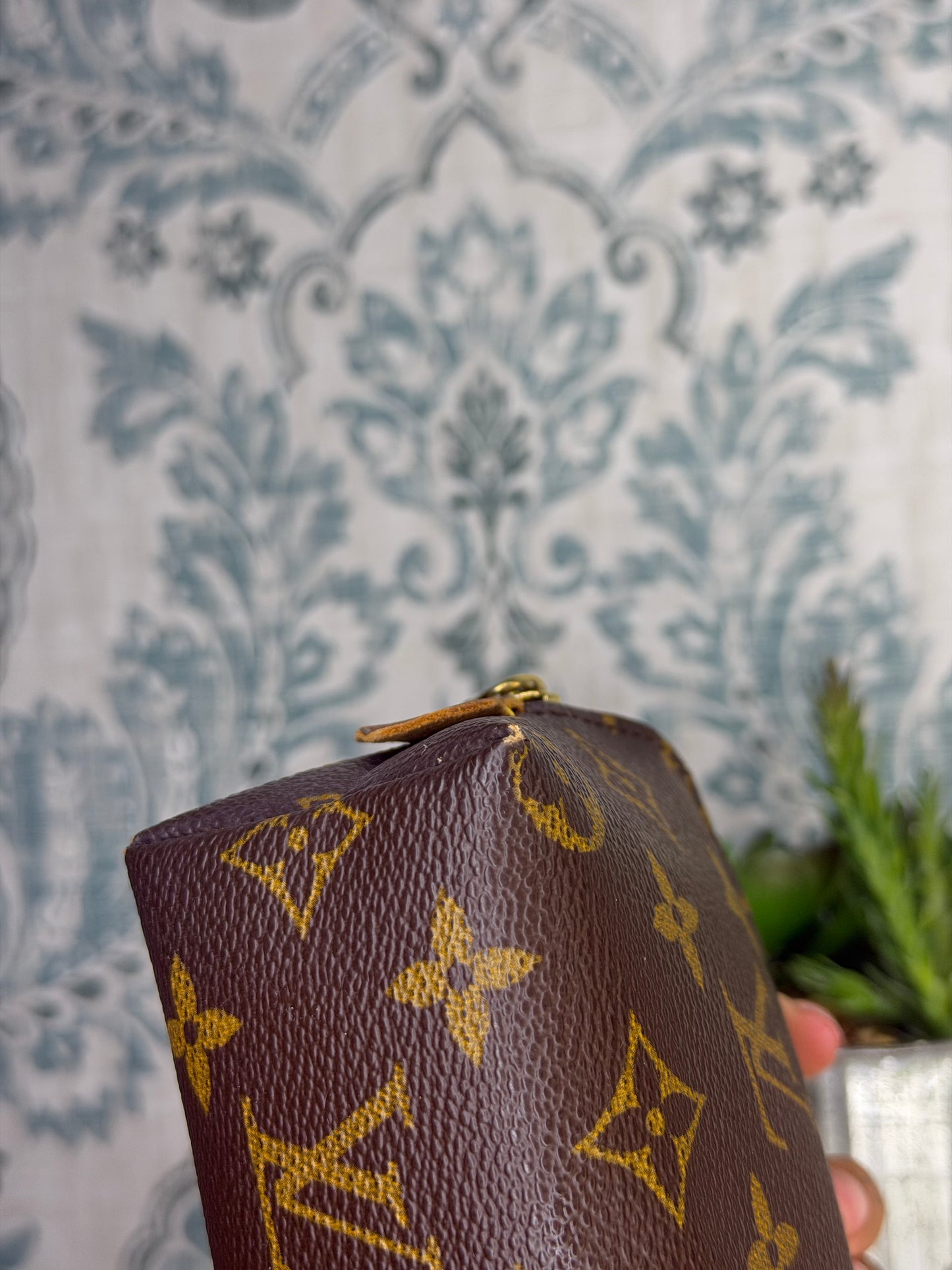 Louis Vuitton Cosmetic PM Pouch