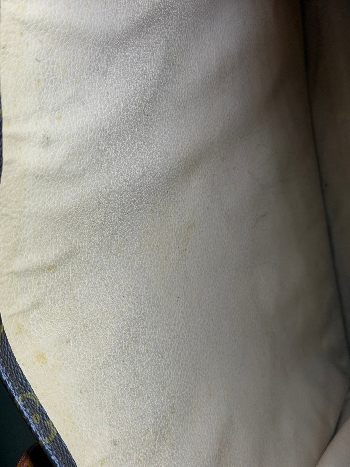 Louis Vuitton Sac Plat #3