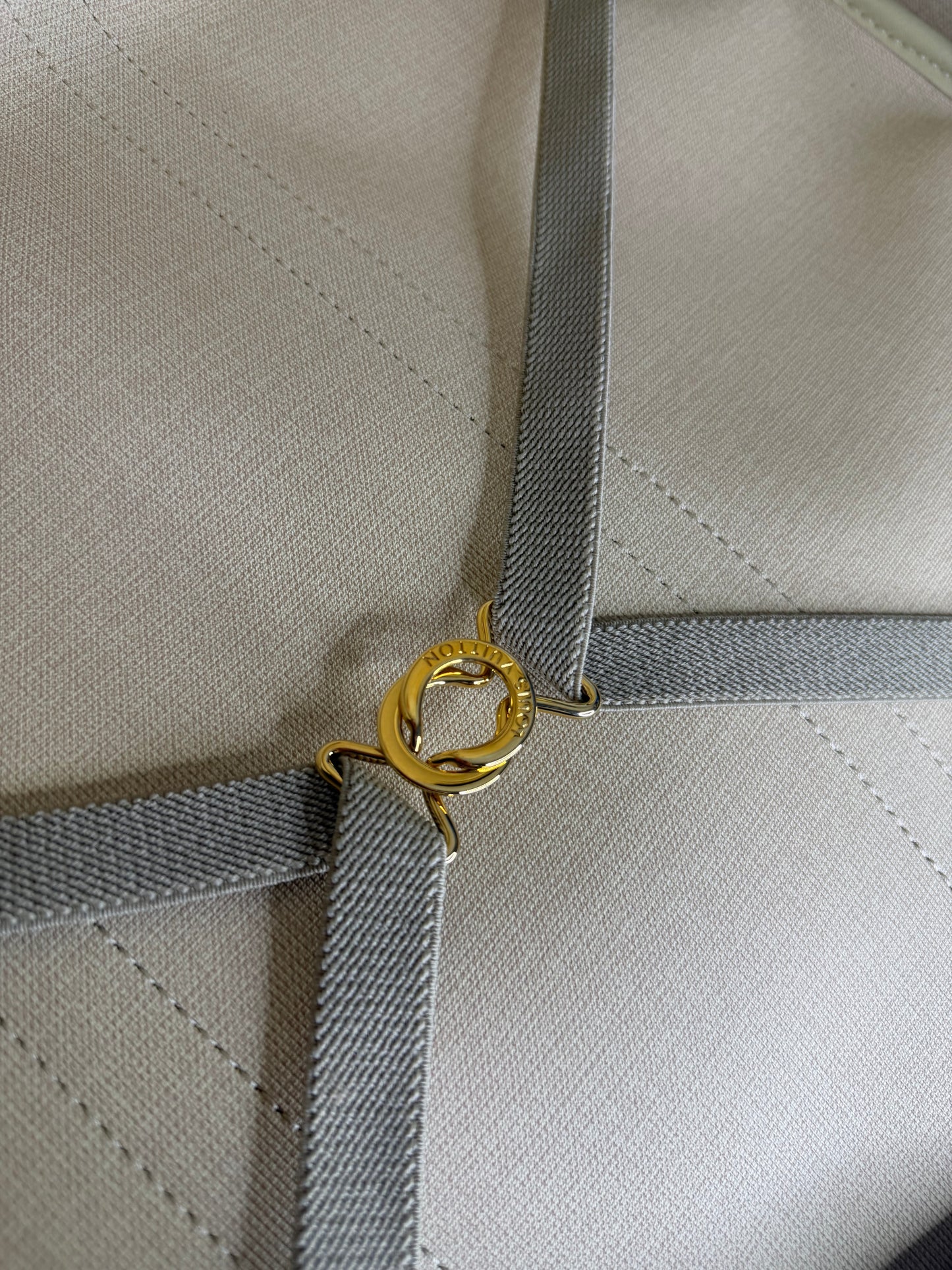 Louis Vuitton Sirius 55 Soft Suit Case