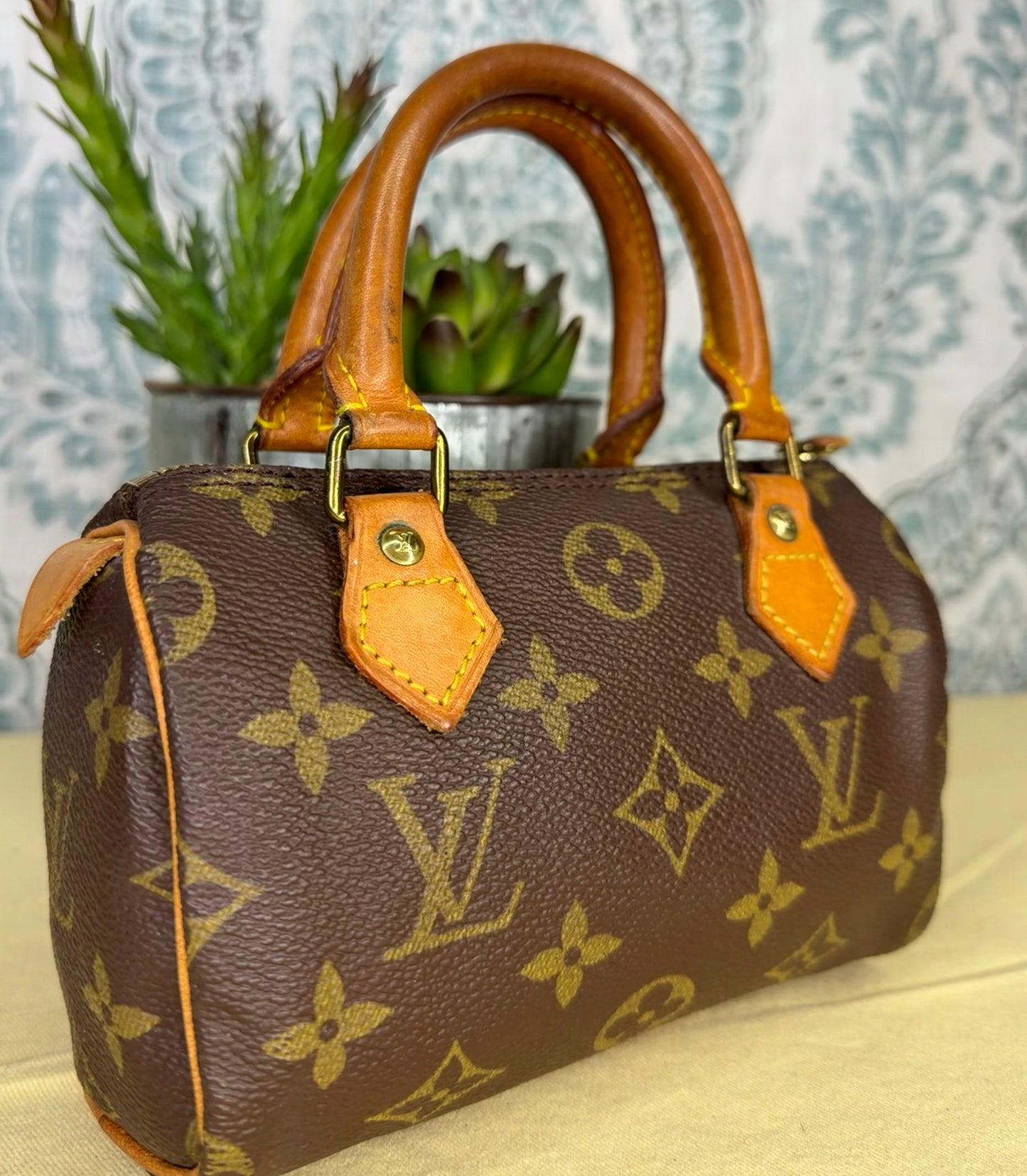 Louis Vuitton Mini Speedy
