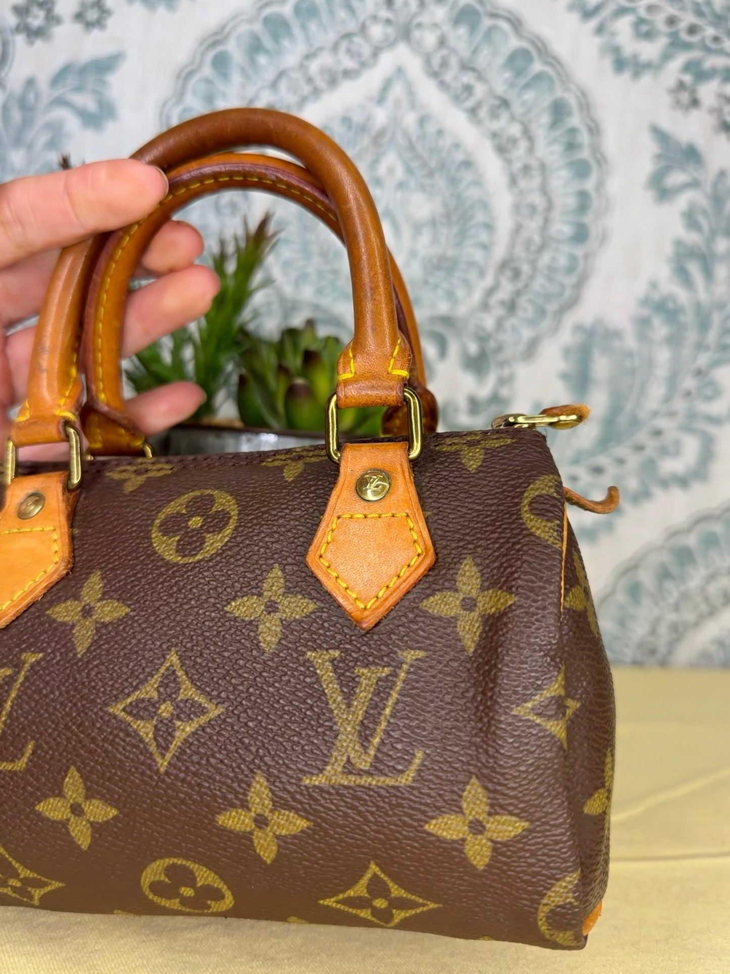 Louis Vuitton Mini Speedy