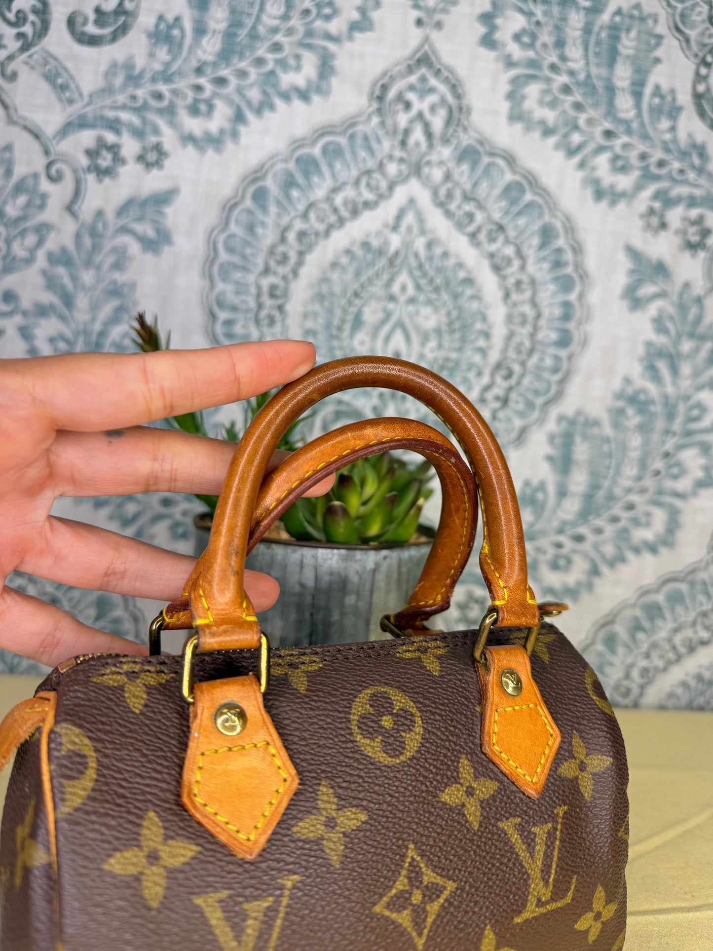 Louis Vuitton Mini Speedy