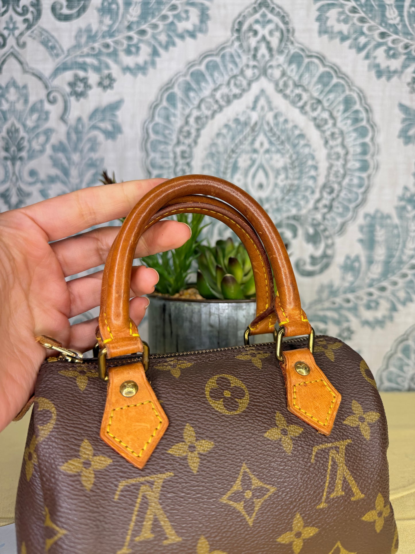 Louis Vuitton Mini Speedy