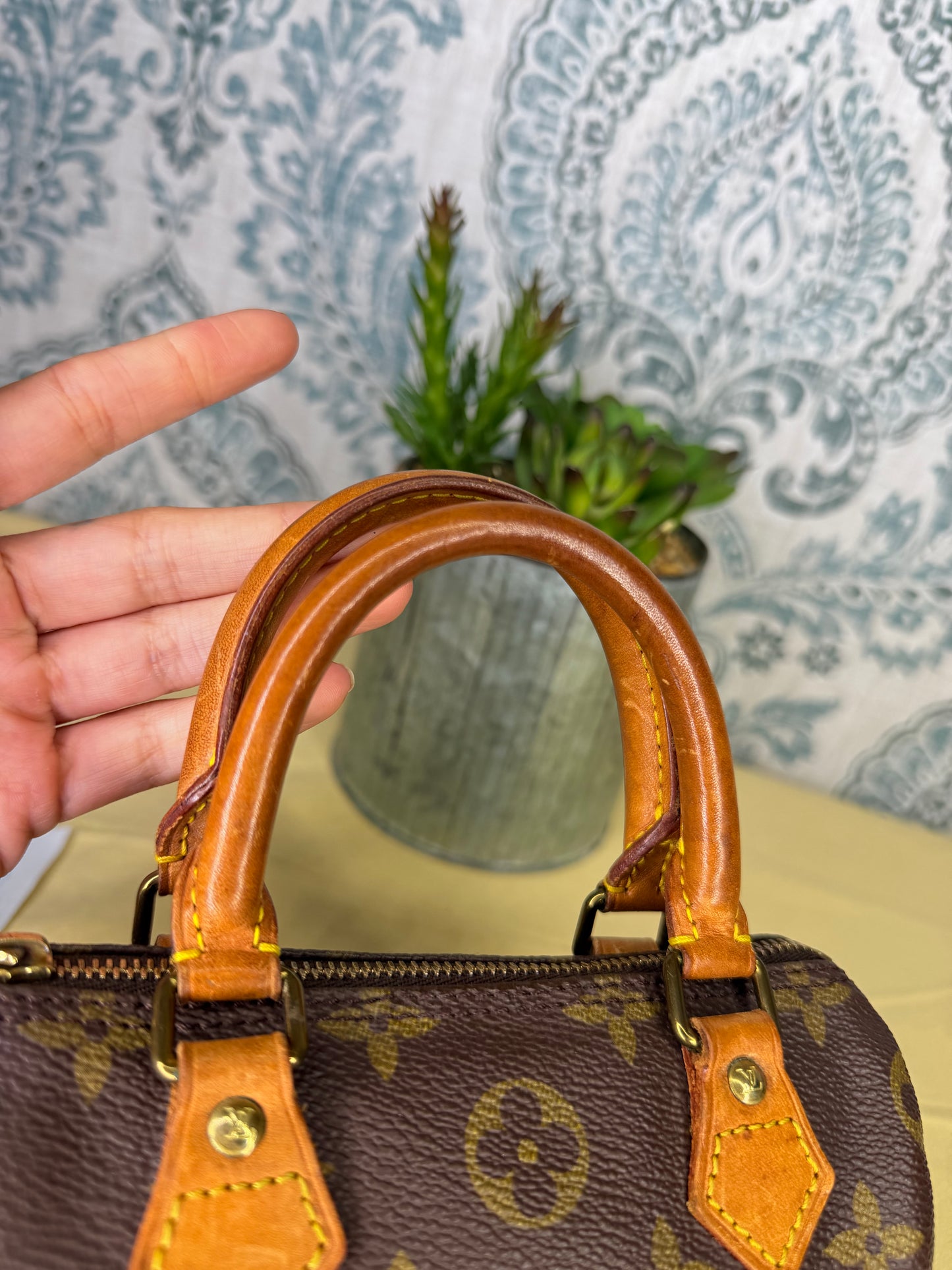 Louis Vuitton Mini Speedy
