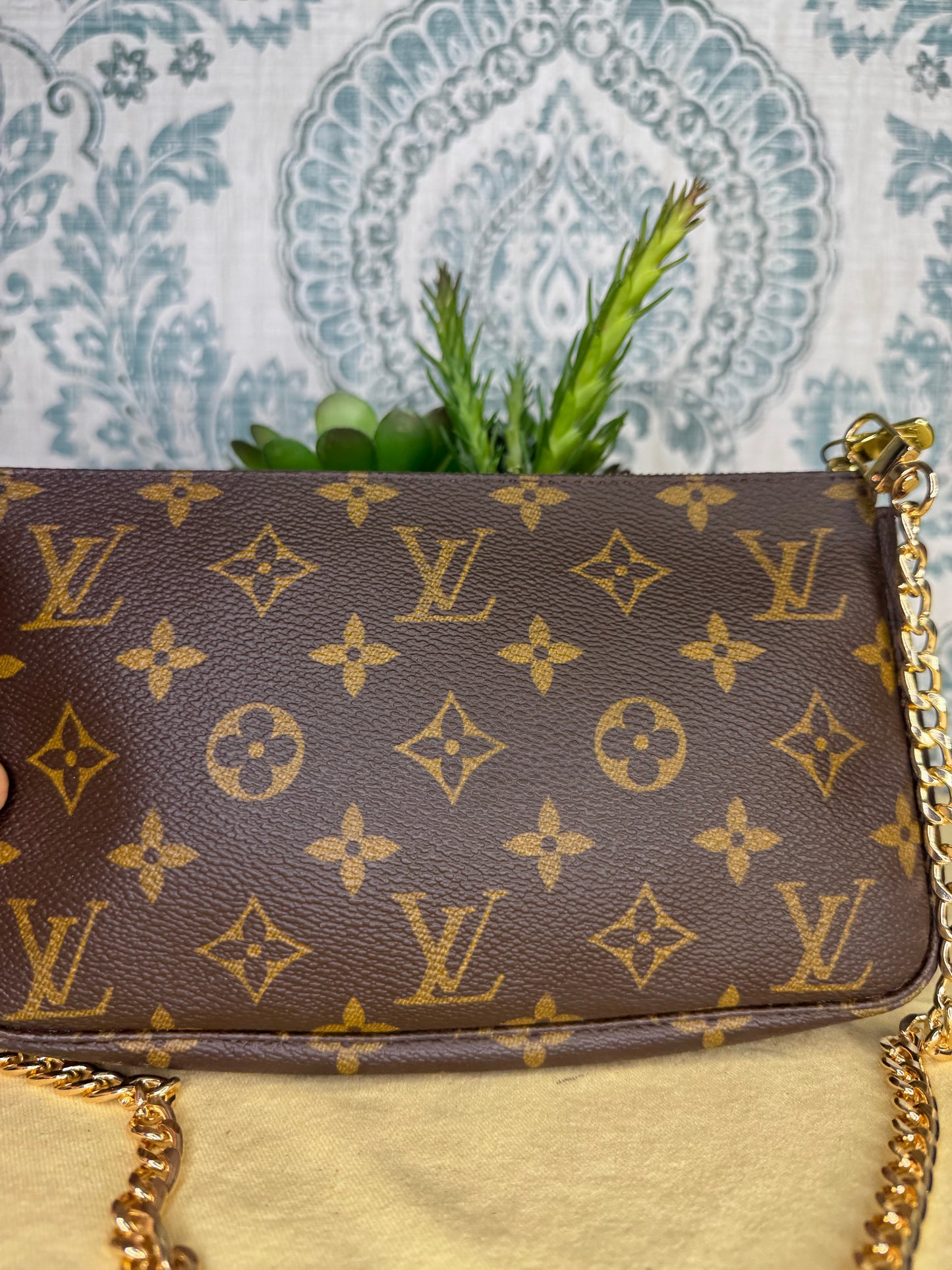 Louis Vuitton Pochette Accessories