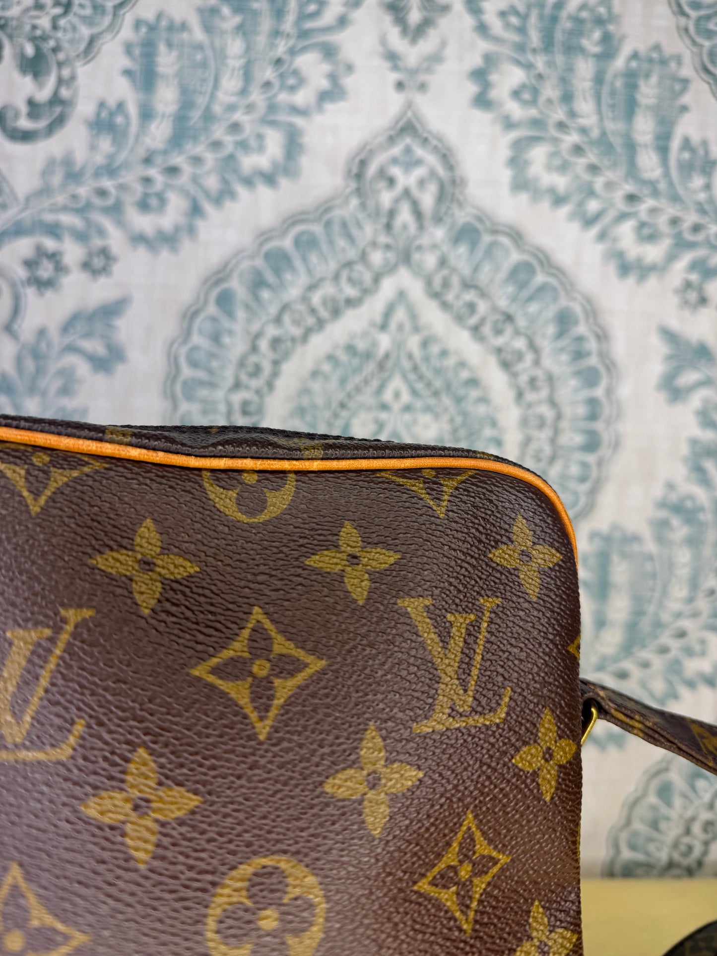 Louis Vuitton Amazon PM #1