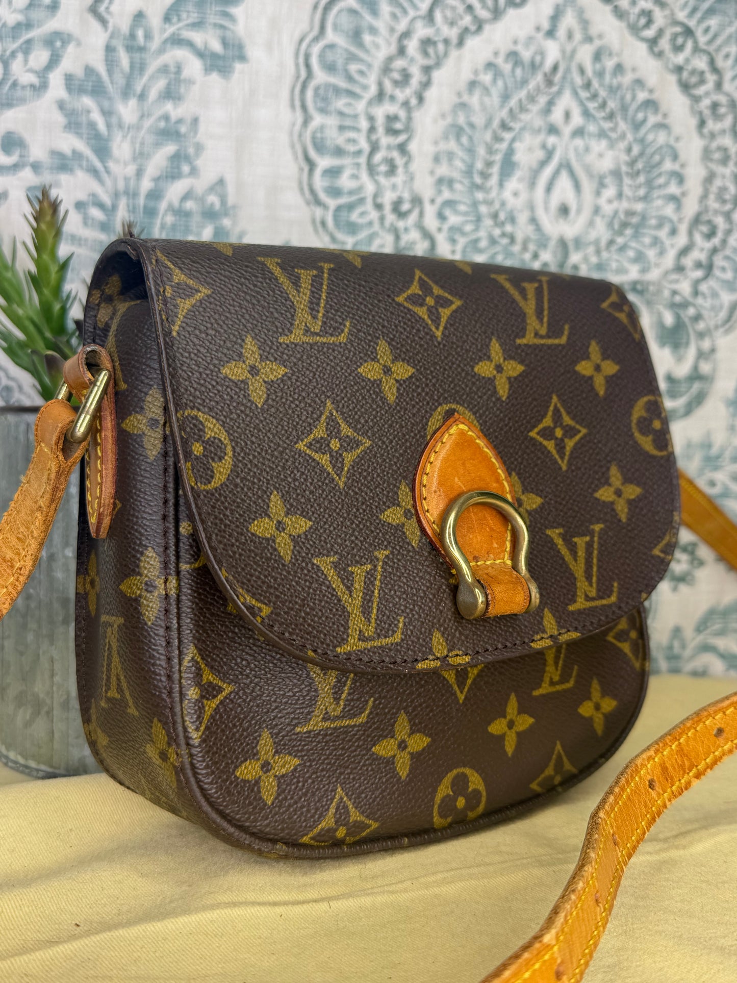 Louis Vuitton Saint Cloud PM #1