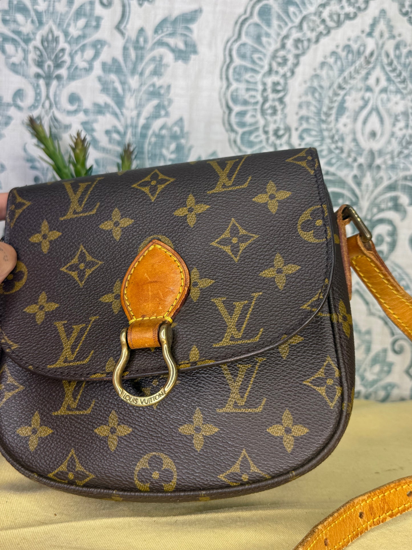 Louis Vuitton Saint Cloud PM #1