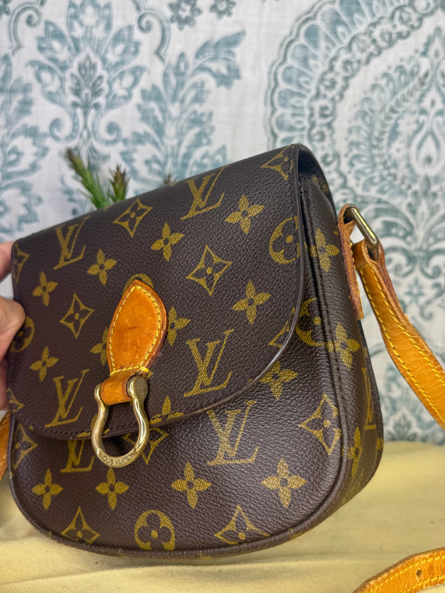 Louis Vuitton Saint Cloud PM #1